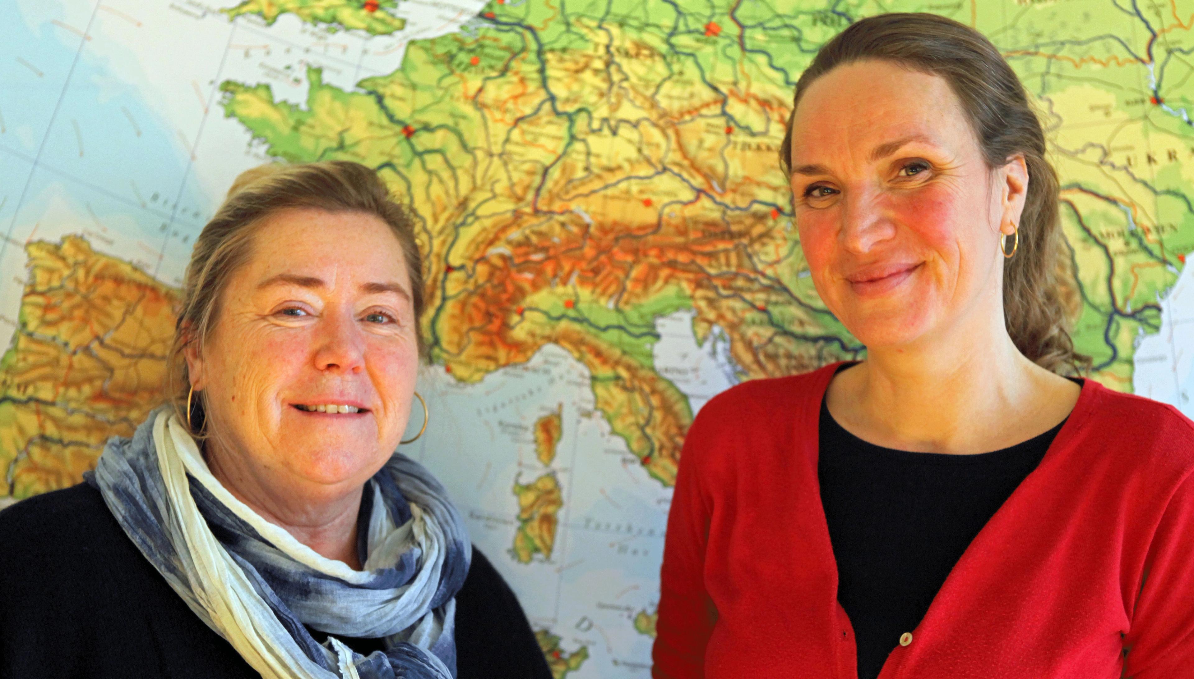 Karrierelæring i Helsingør