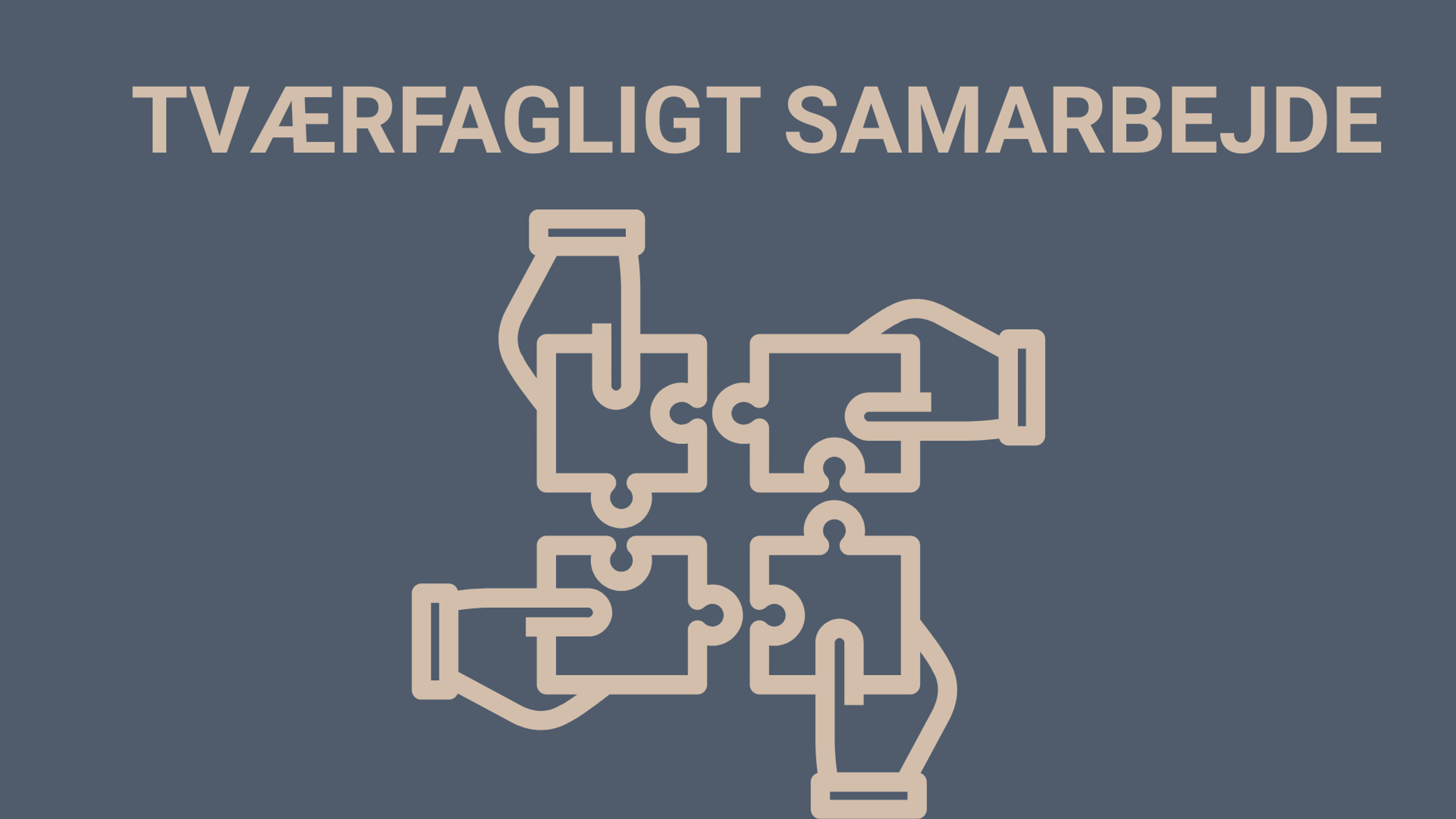 Tværfagligt samarbejde i nye organisationsformer