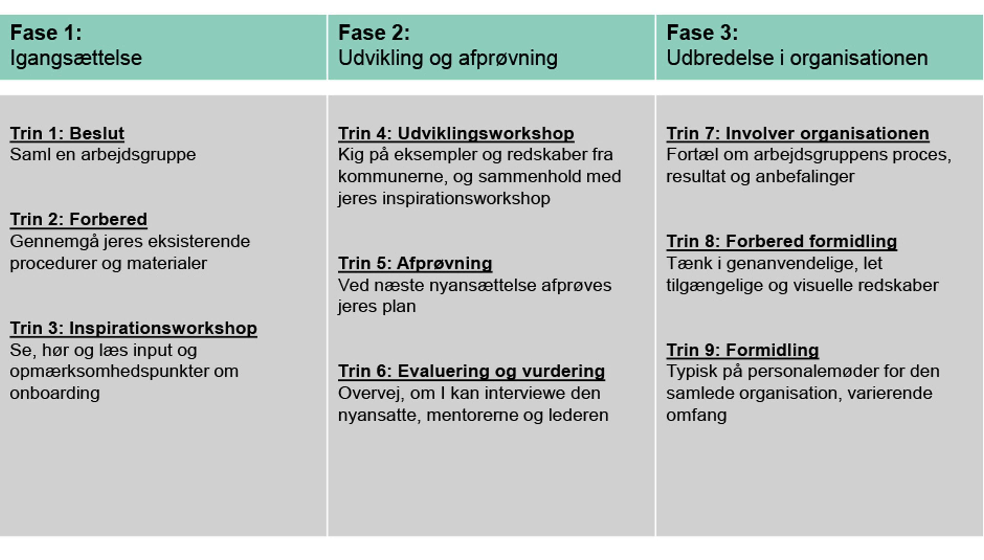 Proces for introduktionsordninger