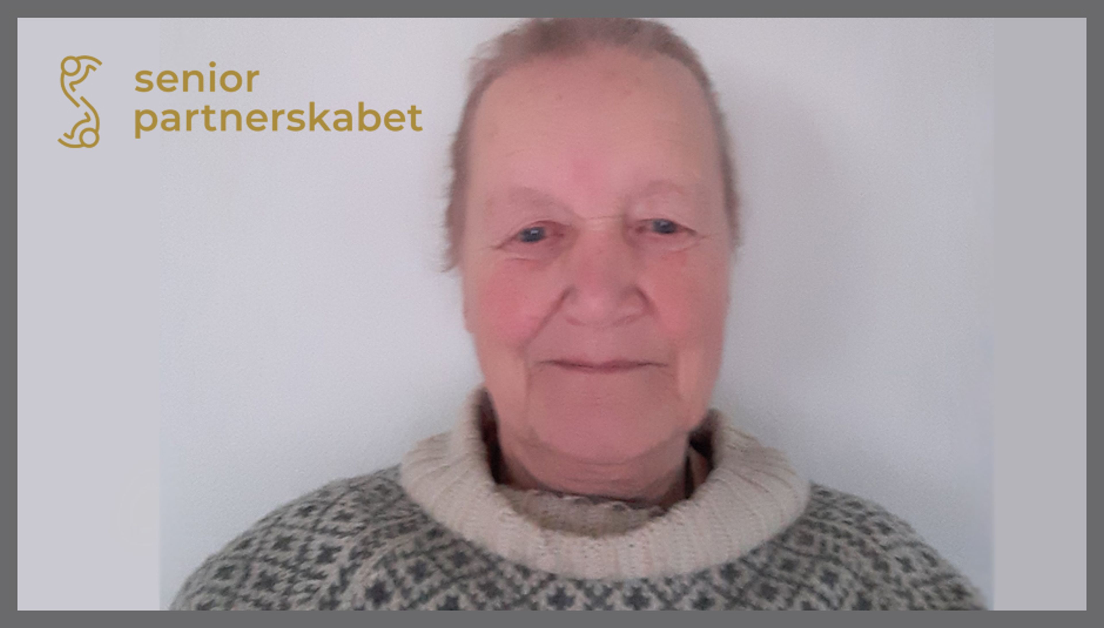 Seniorpartnerskabet