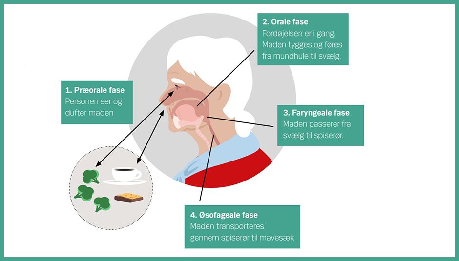 lugesans synssans ernæring