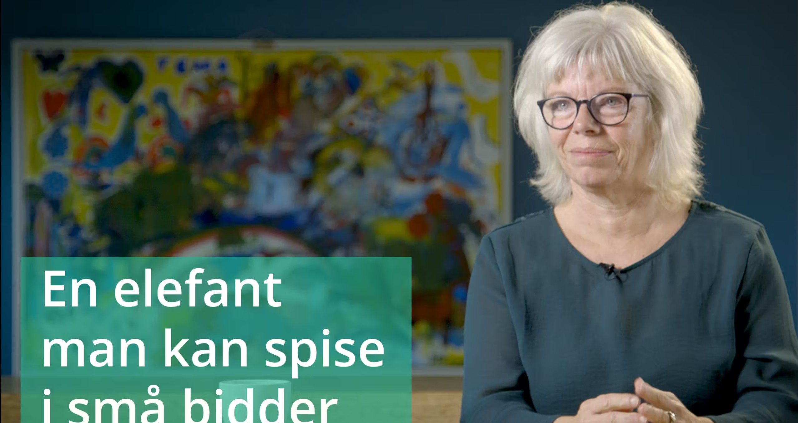 VIDEO 4: En elefant man kan spise i små bidder