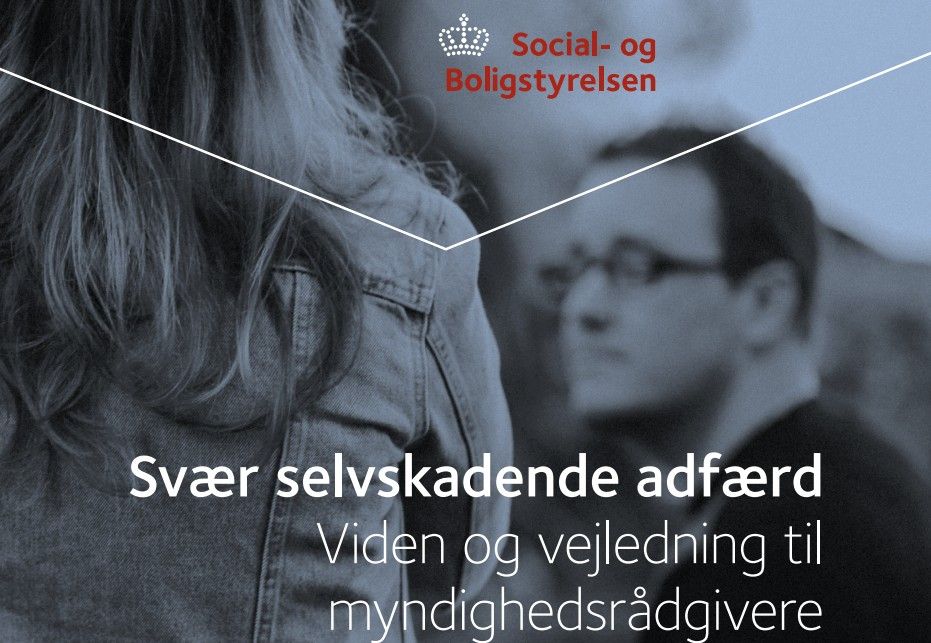 Til myndighedsrådgivere