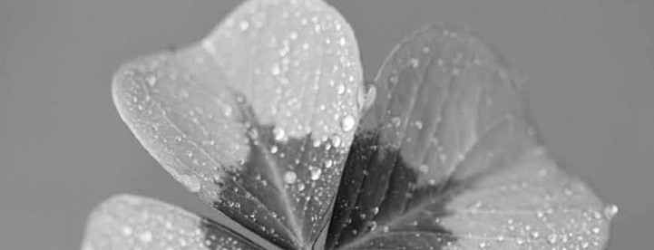 Trivselstermometeret