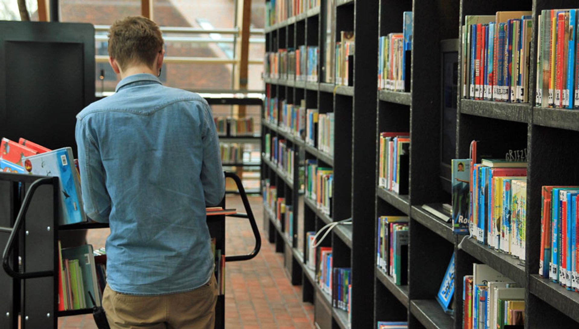 Biblioteker i bevægelse - kompetencer og potentialer
