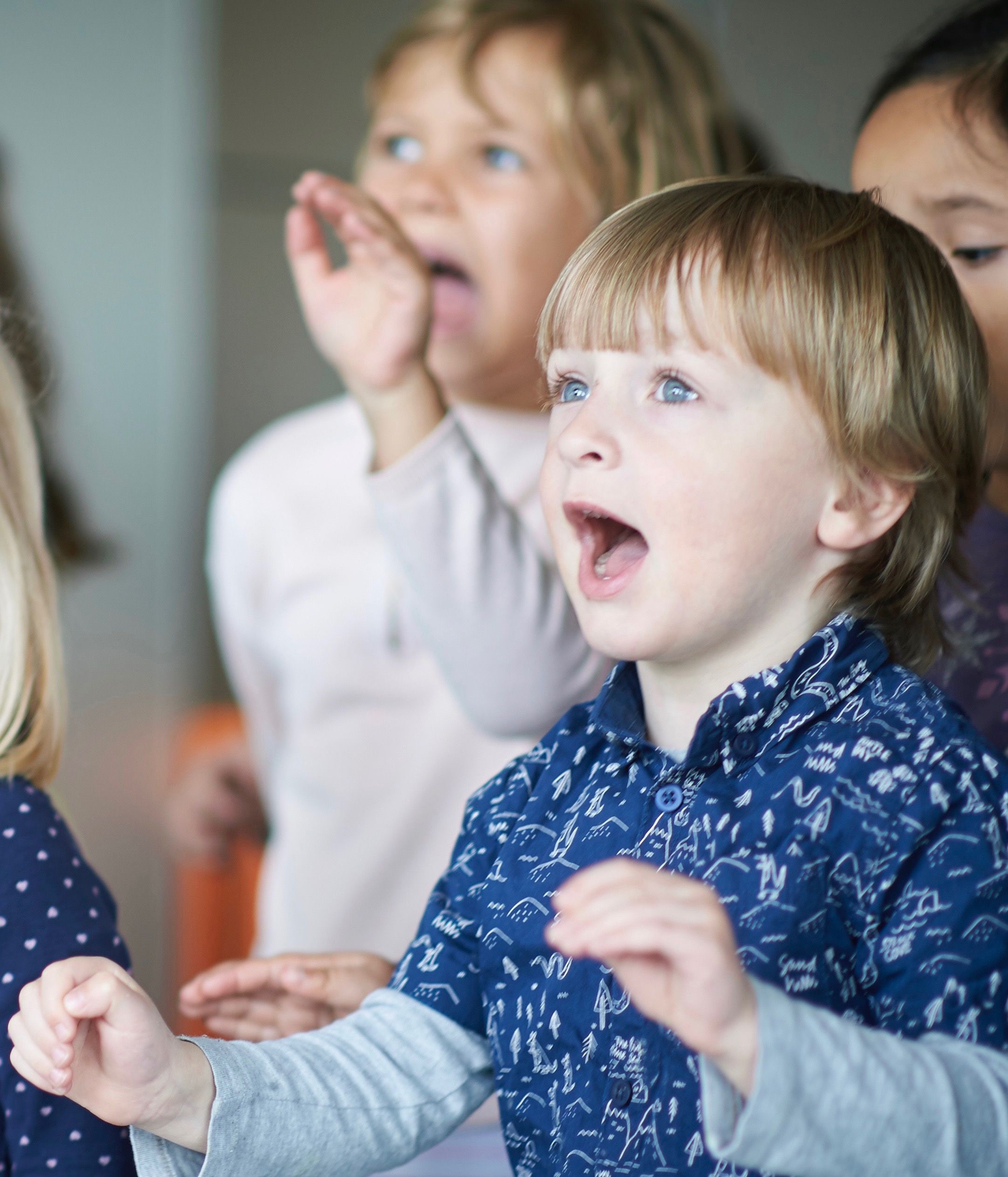 Sang som pædagogisk redskab