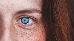 Biblioteker i bevægelse