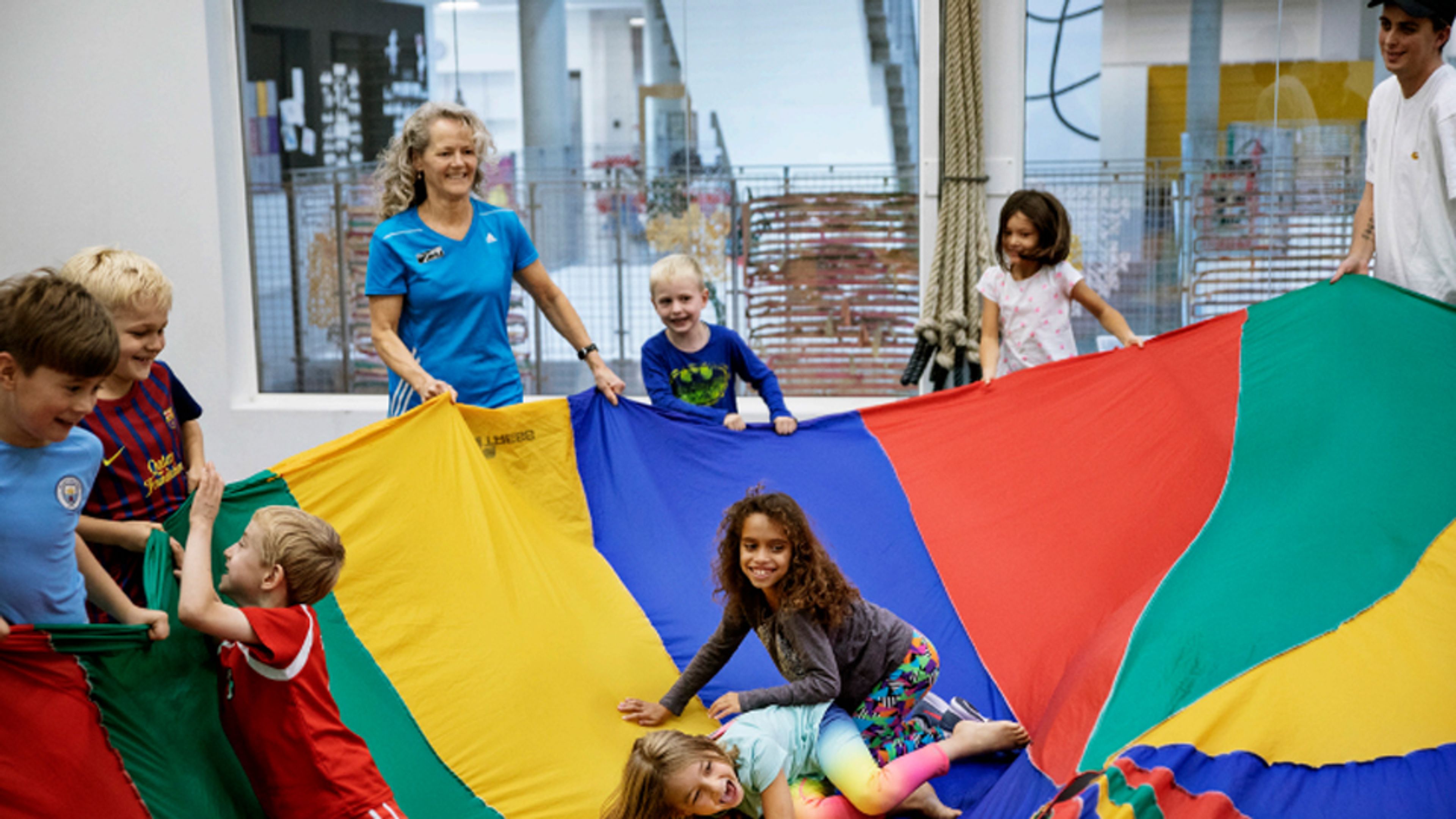 Vidensgrundlag for projektet