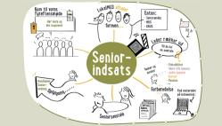 seniorindsats