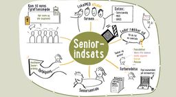 seniorindsats