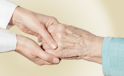 Organisering og tværfaglighed på plejehjem