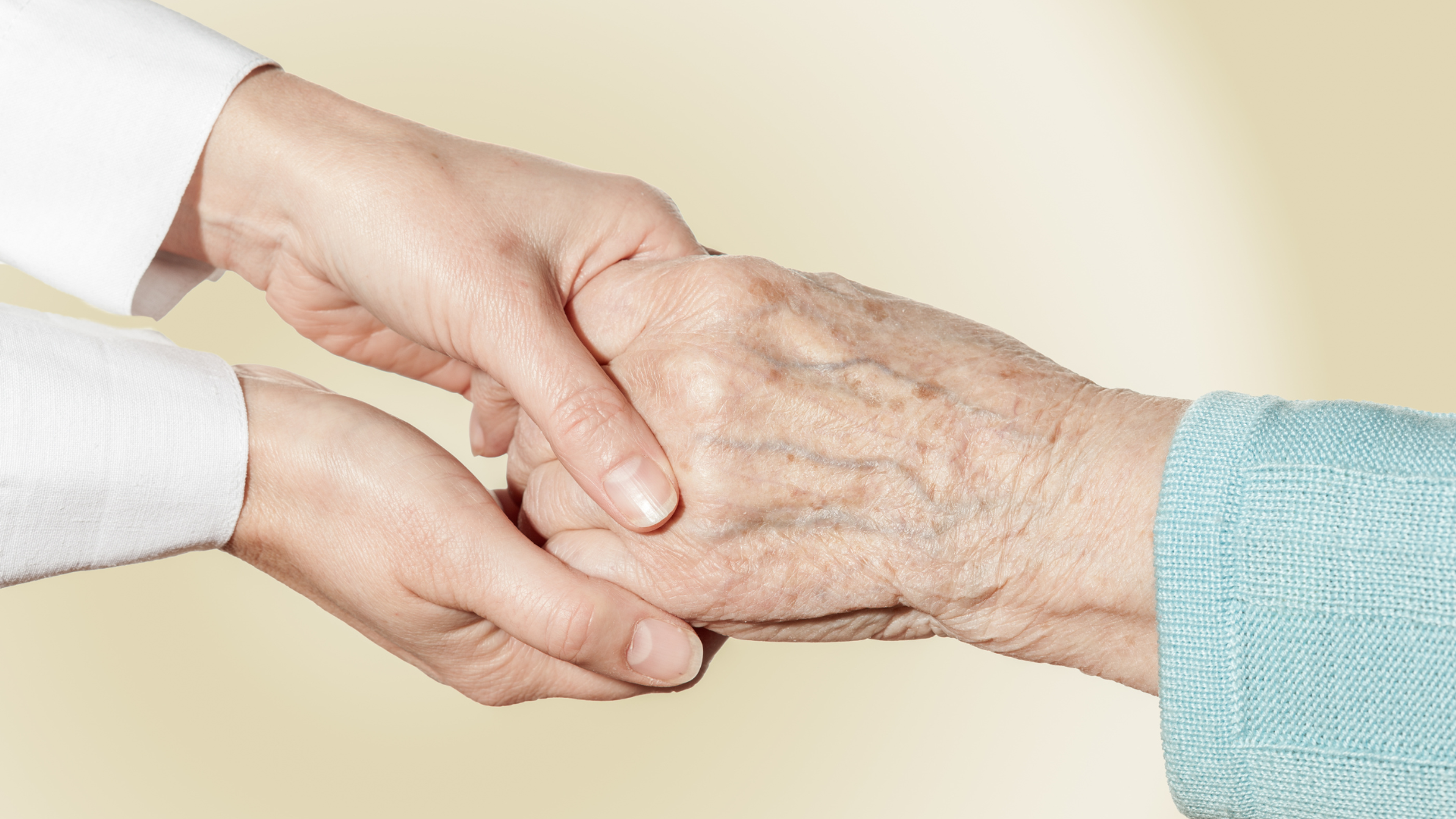 Organisering og tværfaglighed på plejehjem 