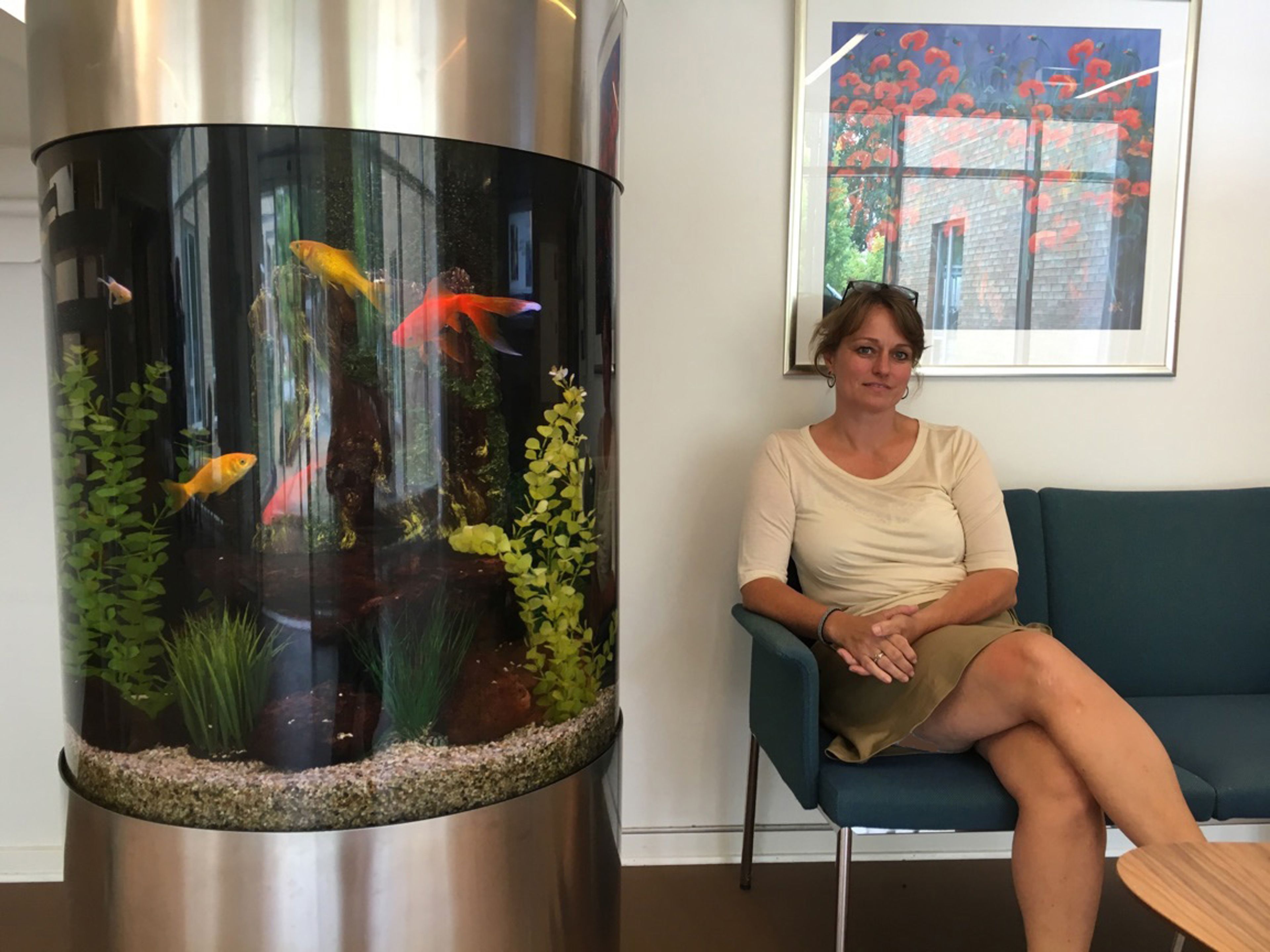 Lej en fisk: Dyr breder sig på plejecentrene