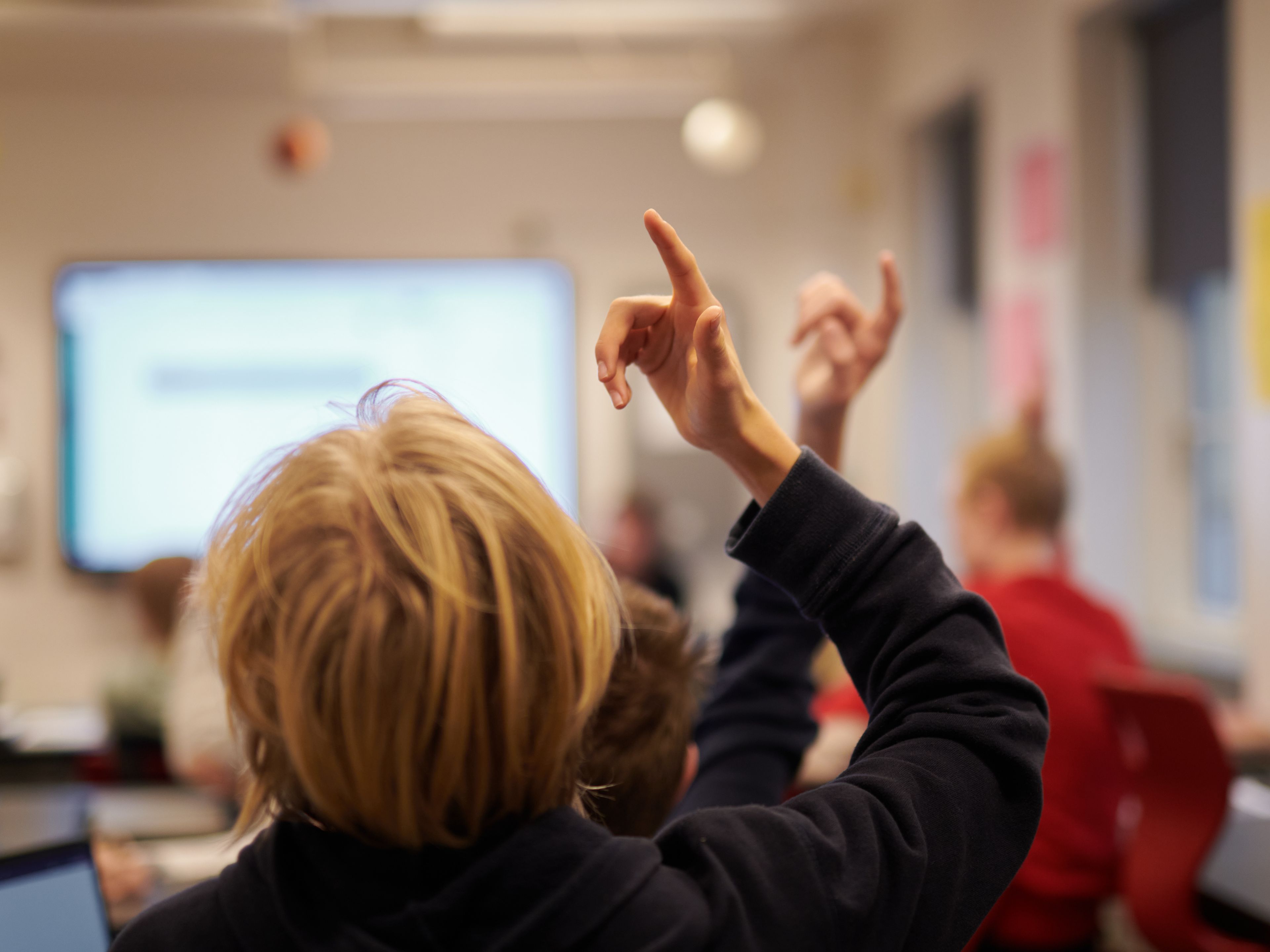Ny vidensopsamling sætter fokus på skoletilhør