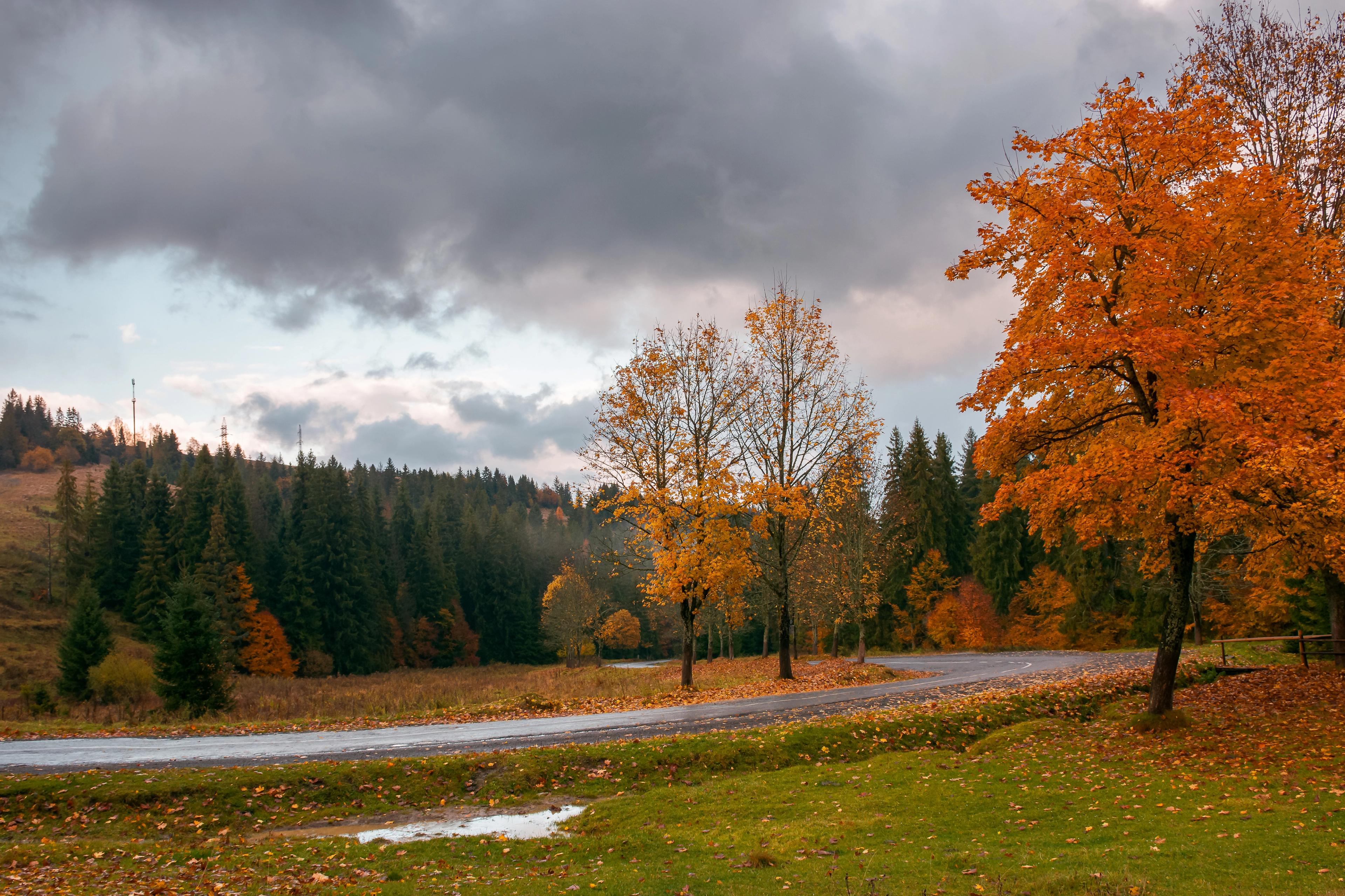 Hjælp lederne: Vær åben