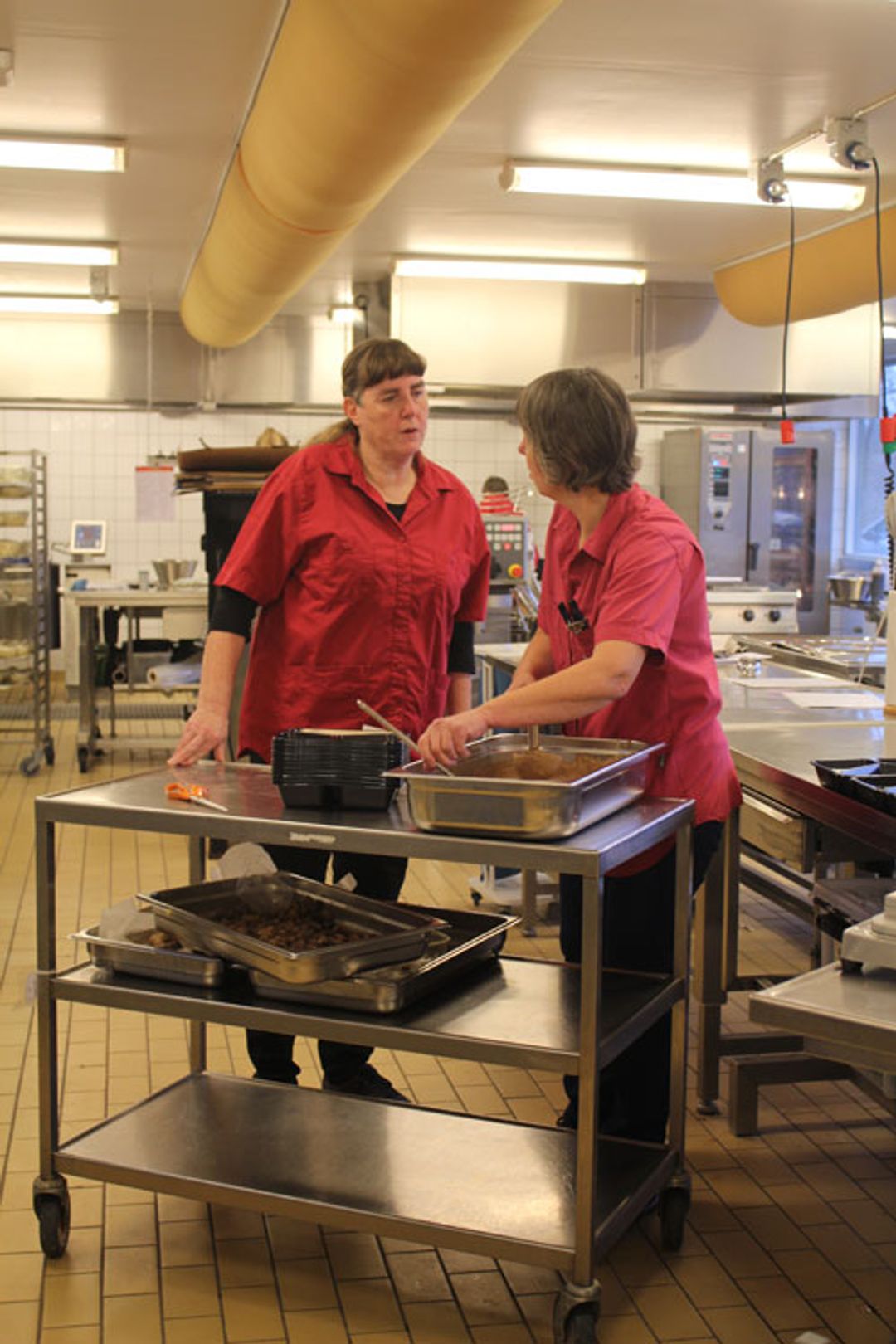 Annette Elsborg og Heidi Heitmann i køkkenet i Hvissinge