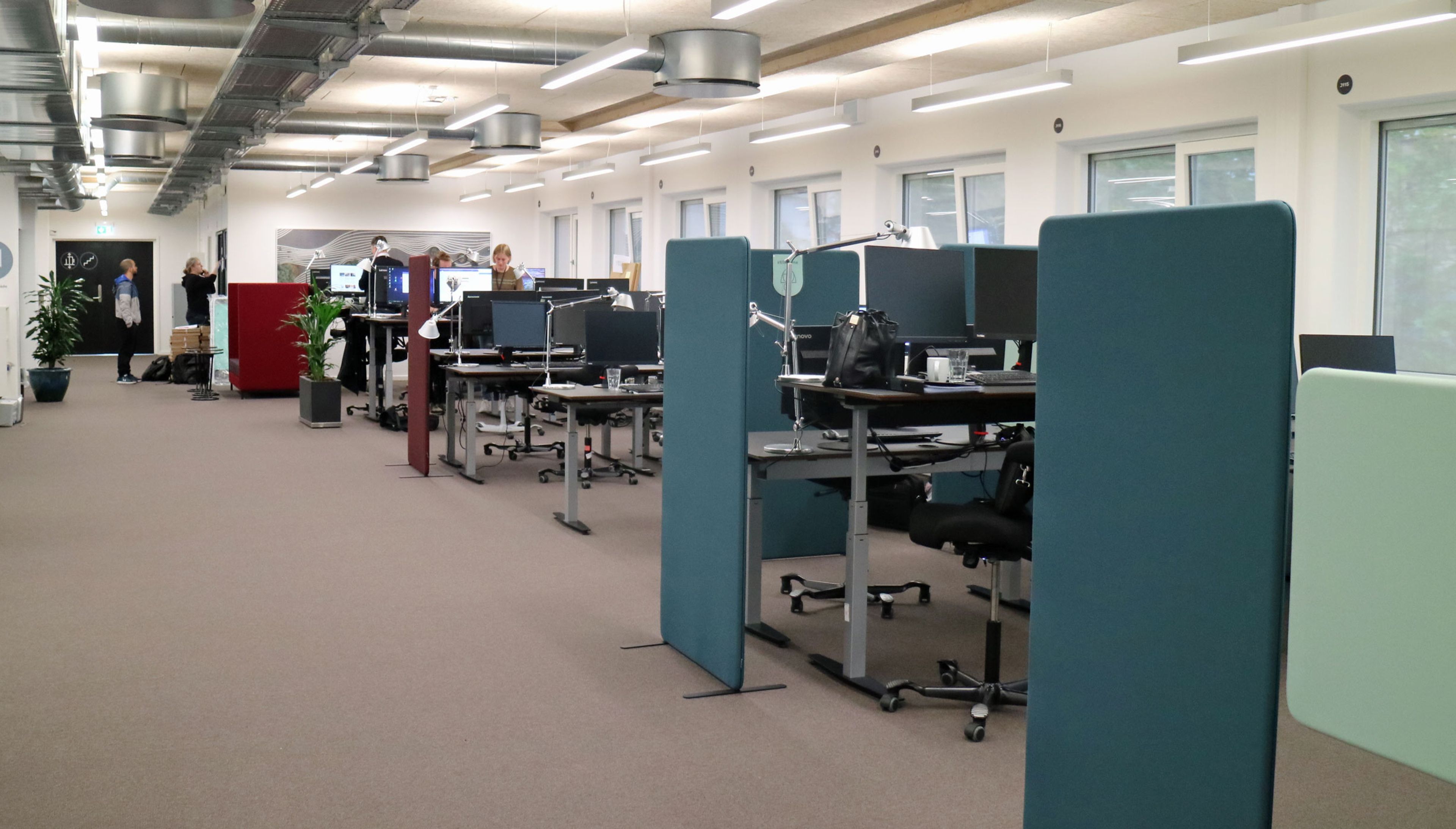 Stillezone og aktivzone