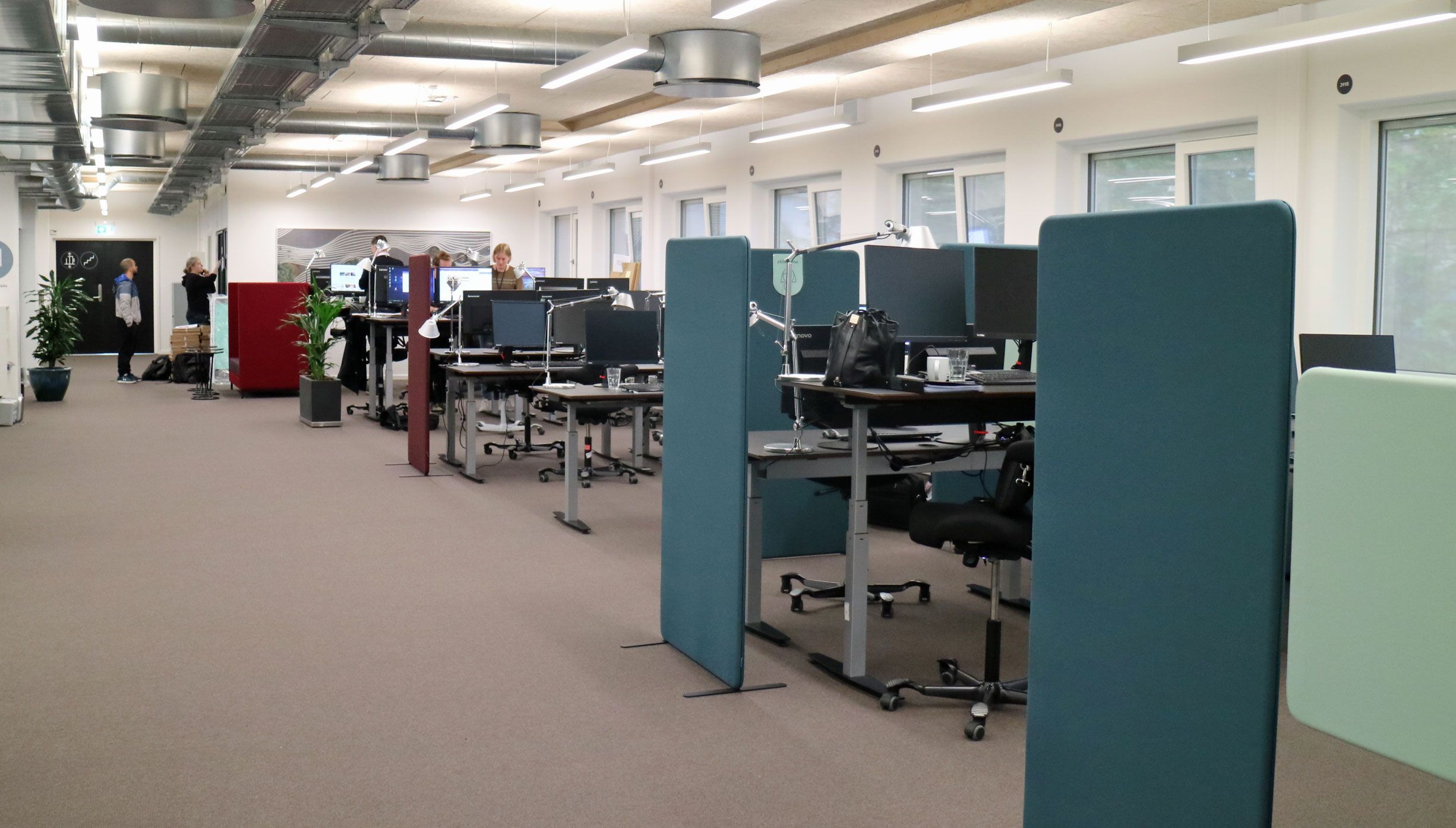 Stillezone og aktivzone