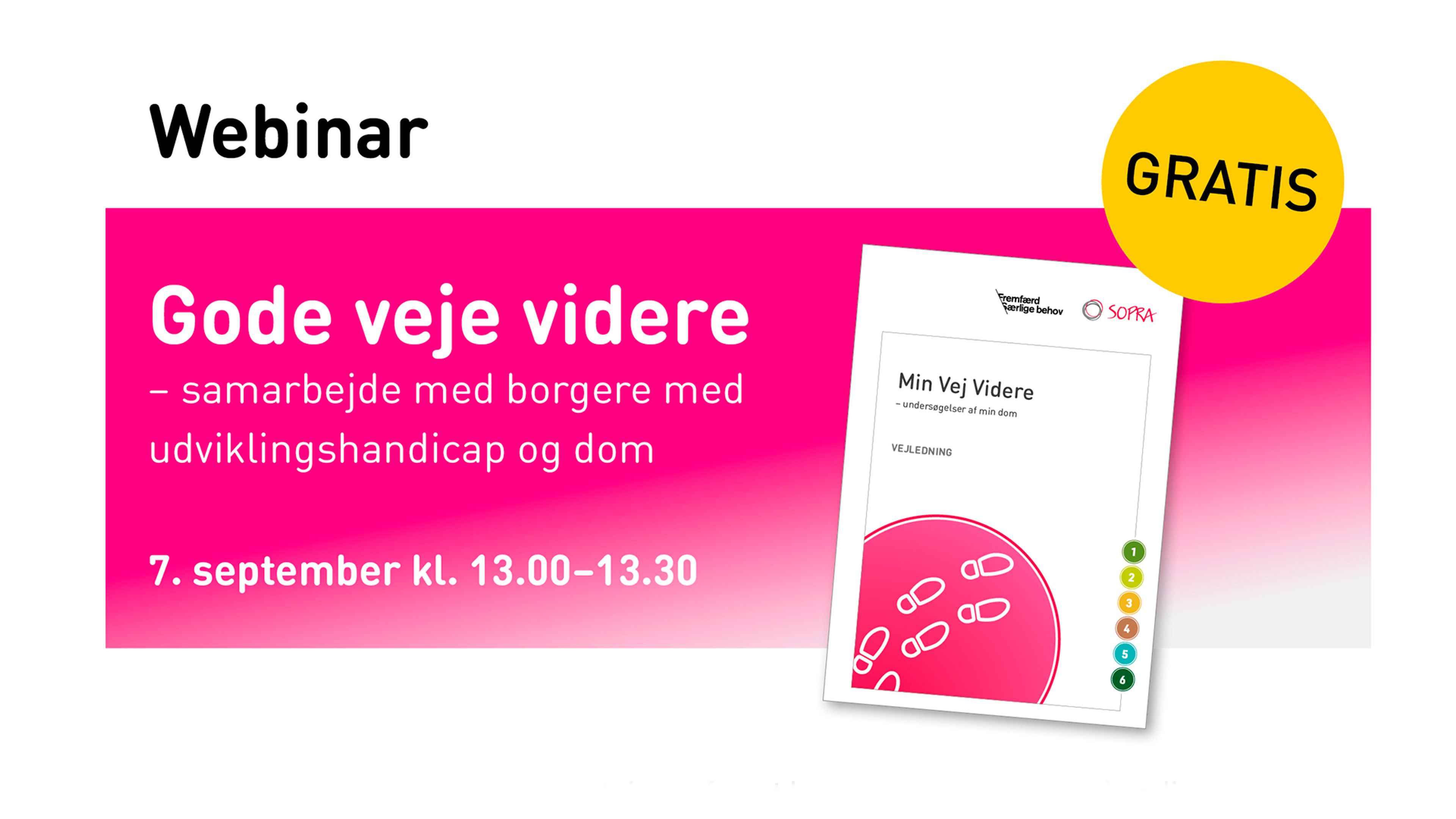 Webinar: Gode veje videre for borgere med udviklingshandicap og dom