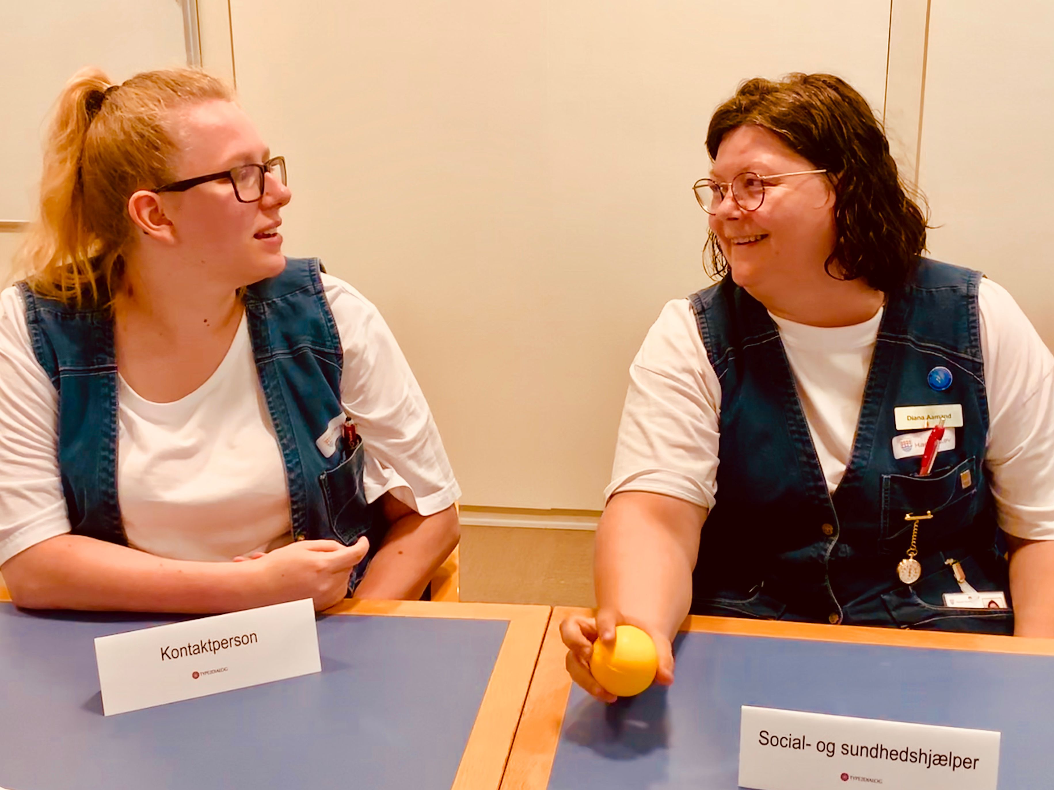 Det Tværfaglige Koordineringsmøde