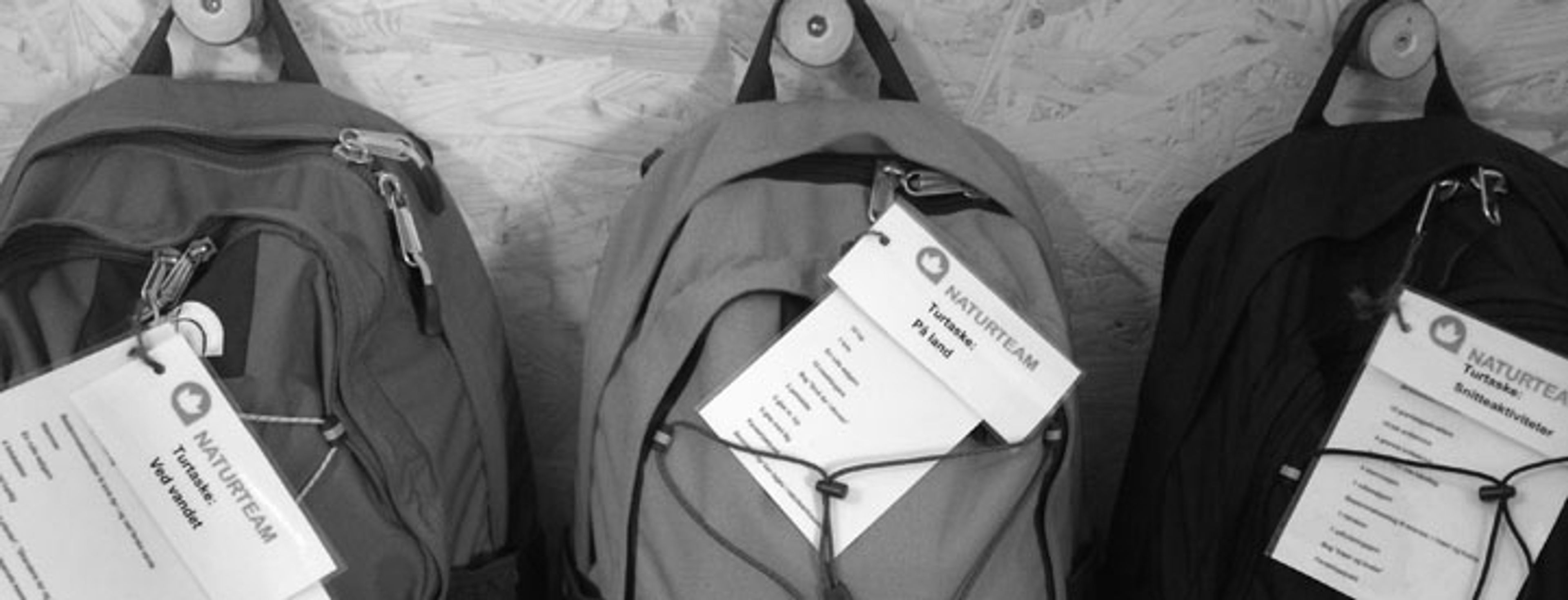 Naturbørnehaven Mariendal i Aarhus Kommune har gjort op med tidsrøveriet og indført Lean-tasker.