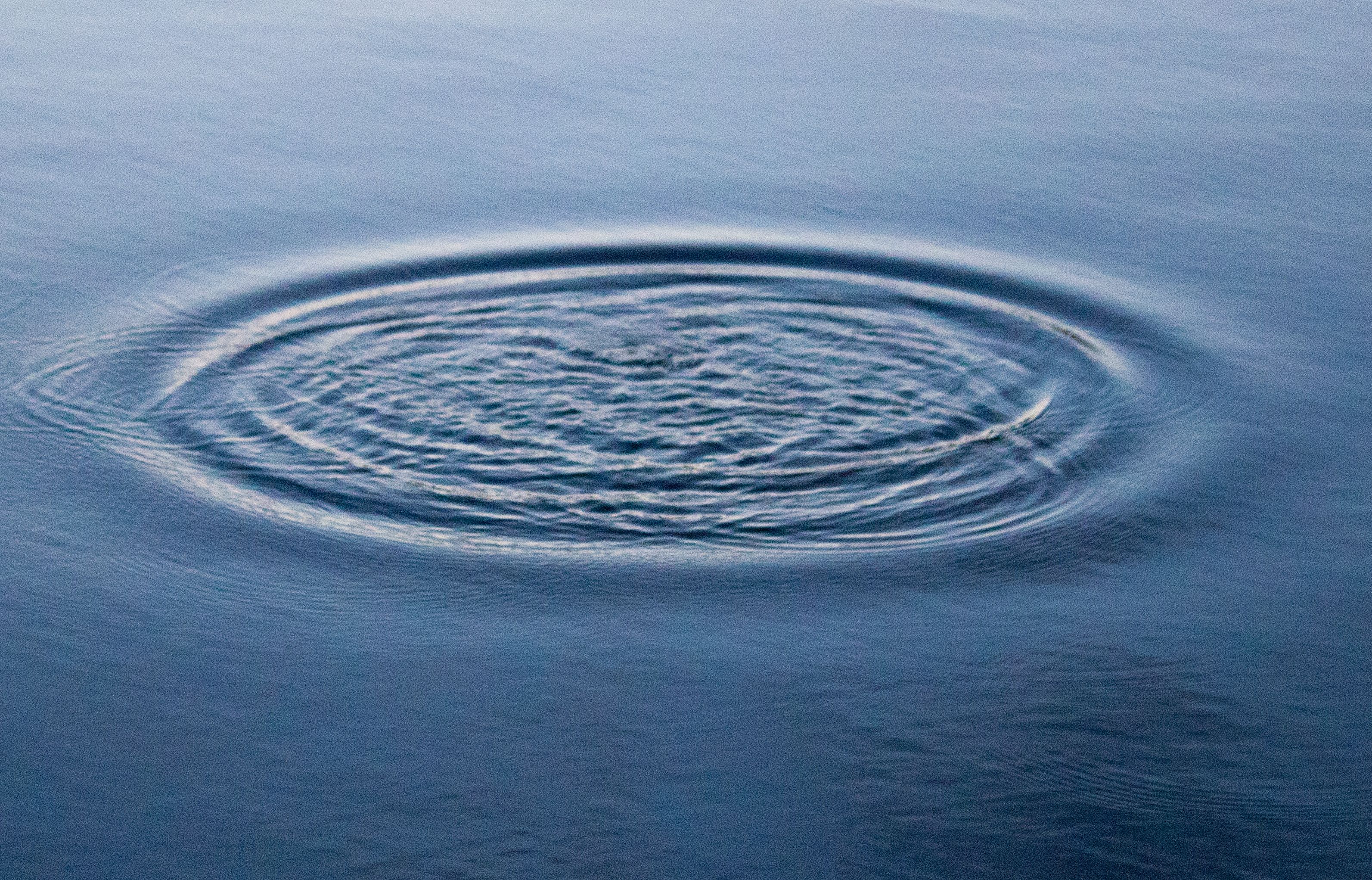 Stafetten skabte ringe i vandet