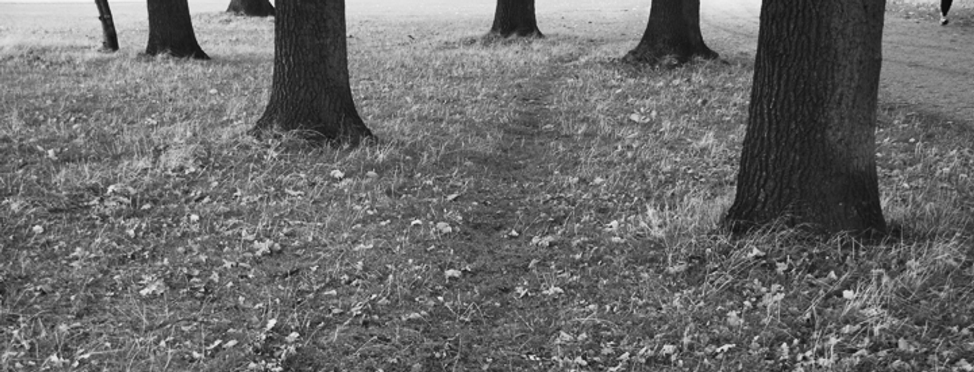 Tænk anderledes hvis du vil være innovation