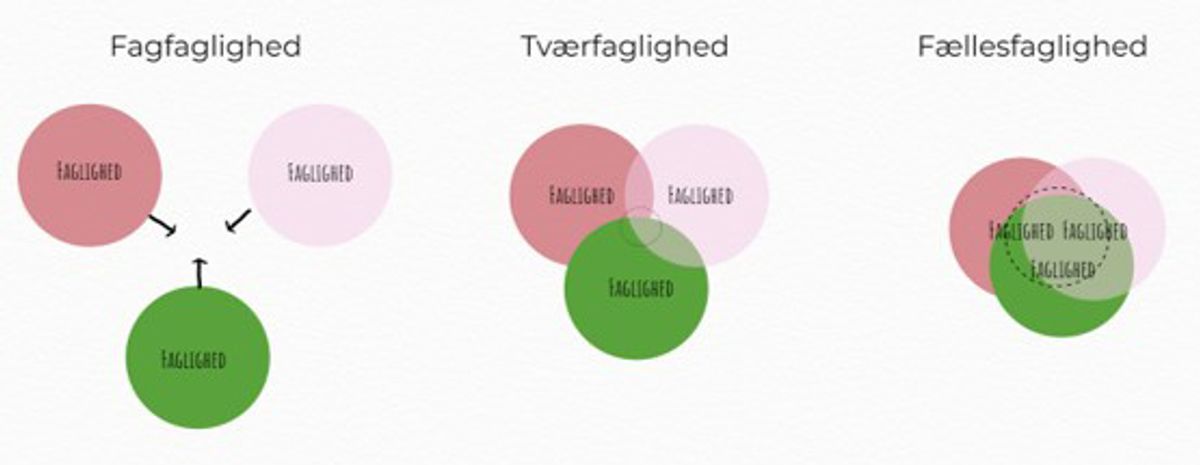 Fra fagfaglighed til tværfaglighed