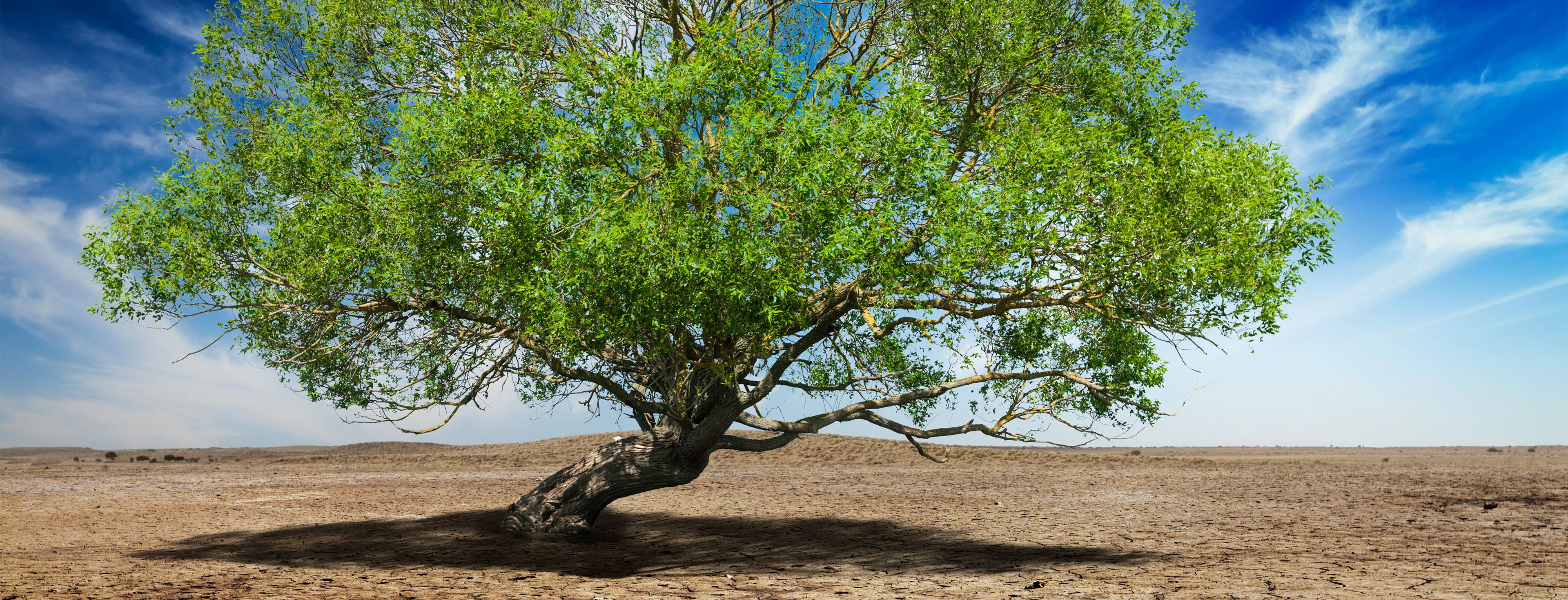 Gentofte Kommune arbejeder med robusthed som strategi