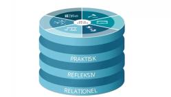 De seks videns- og kompetencefelter på beskæftigelsesområdet