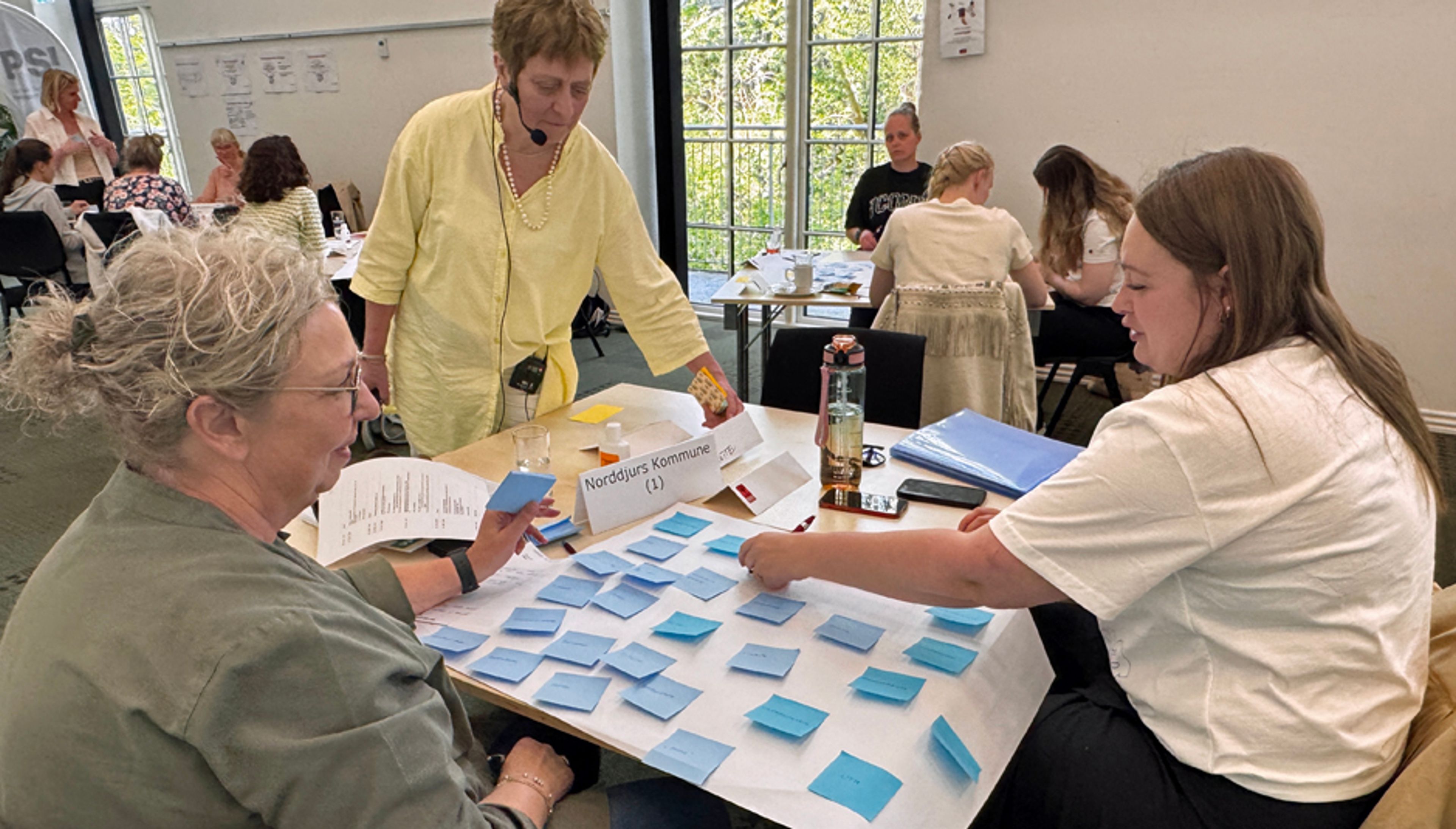 Medicinsikker workshop