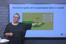 Webinar om læringslyst