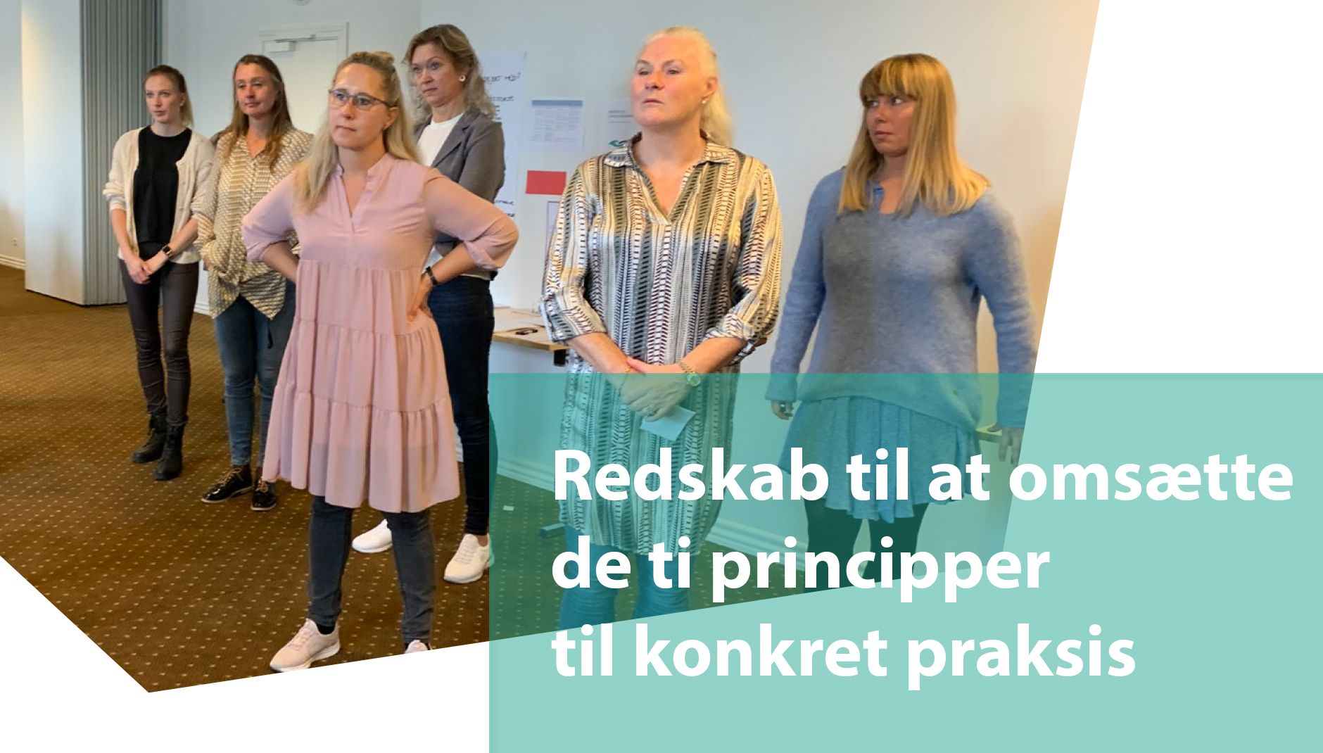 redskab til at omsætte principper til parksis udviklingshæmning og demens