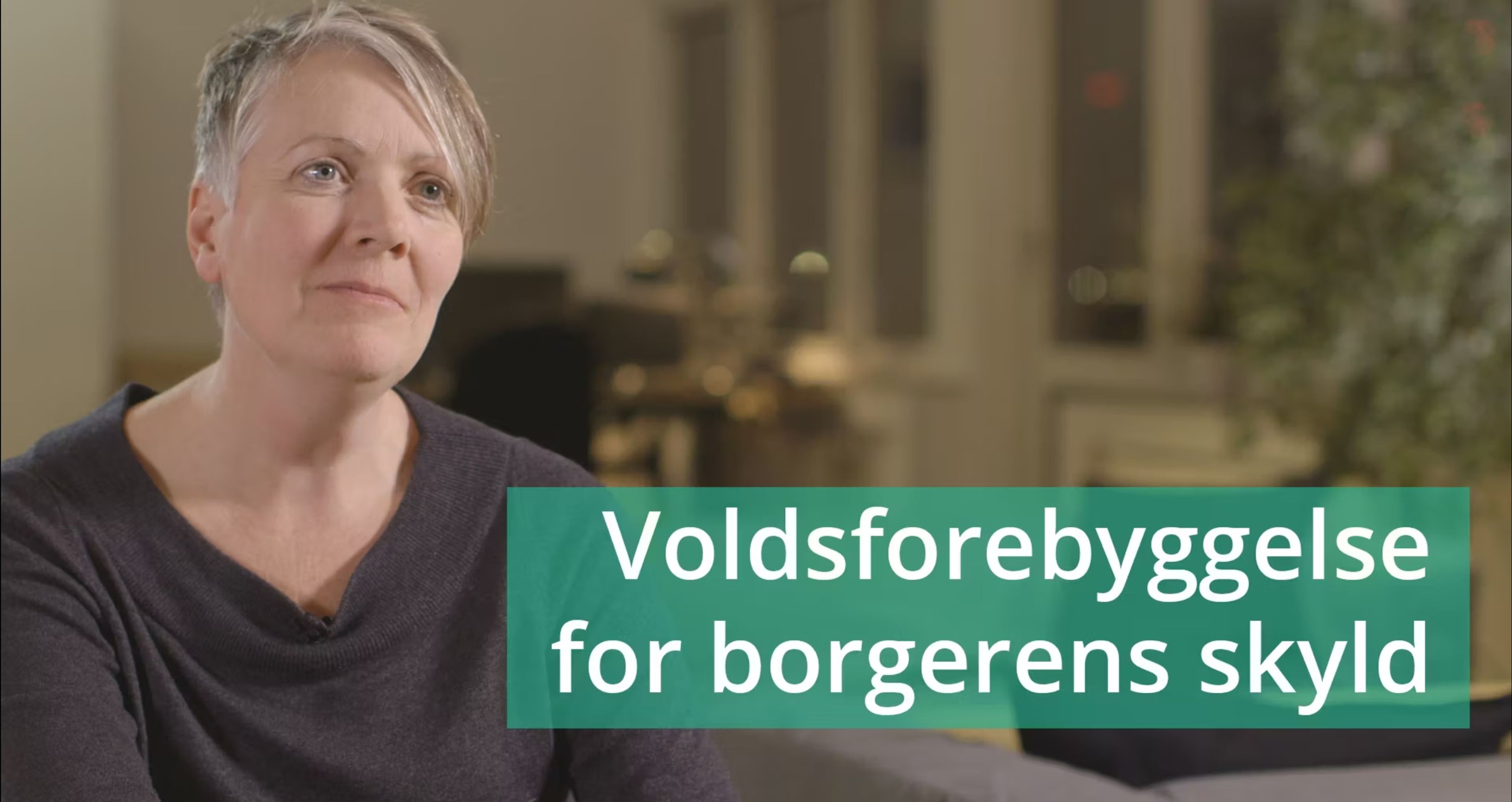 Voldsforebyggelse for borgerens skyld