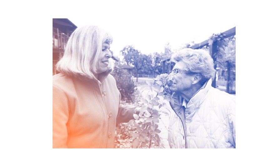 Demens - fra ambition på papir til handling i praksis