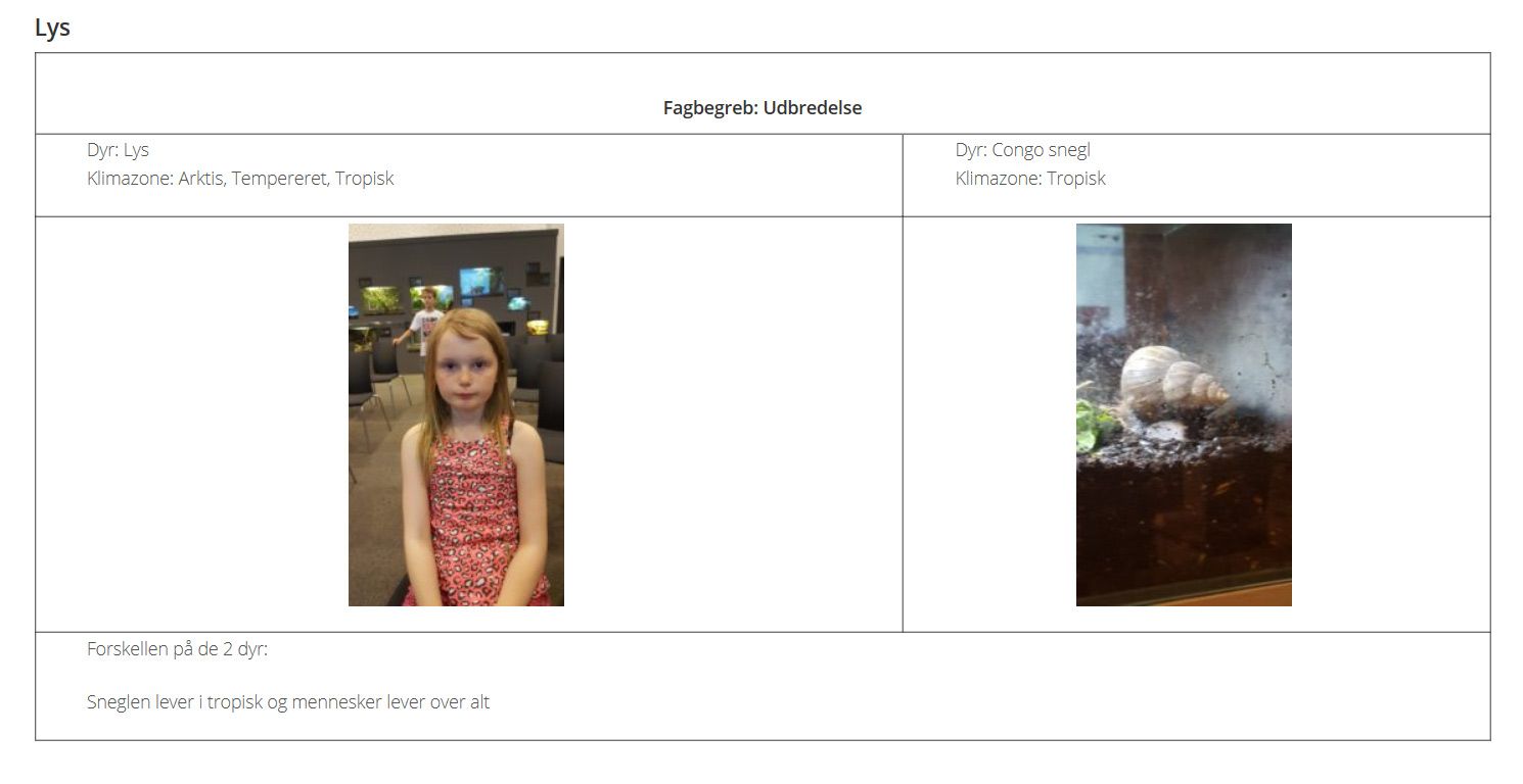 Eksempel på 3-klasse elevers observationer fra Naturama