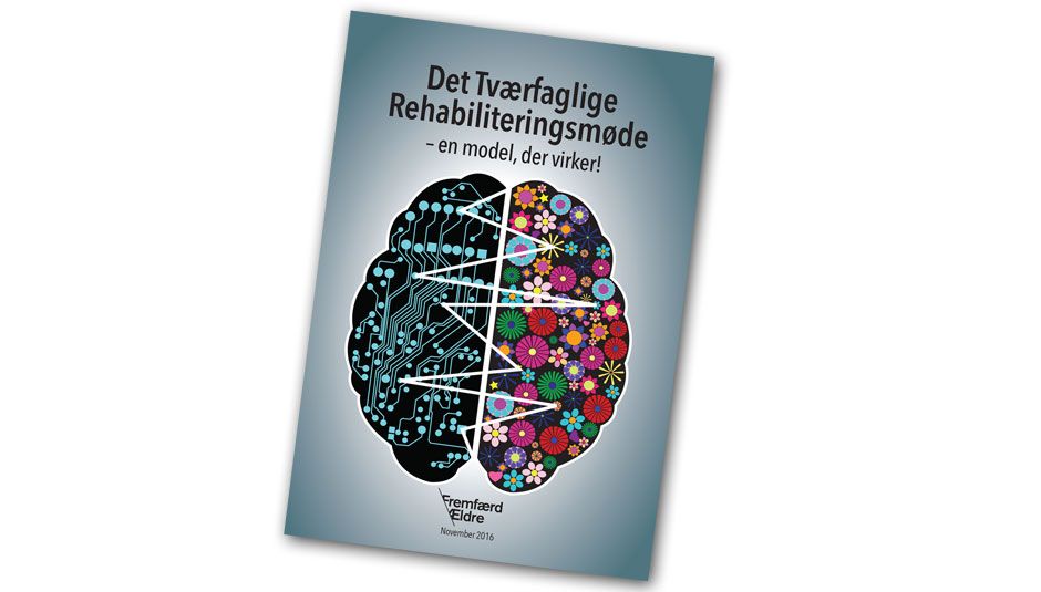 Håndbog rehabiliteringsmøde