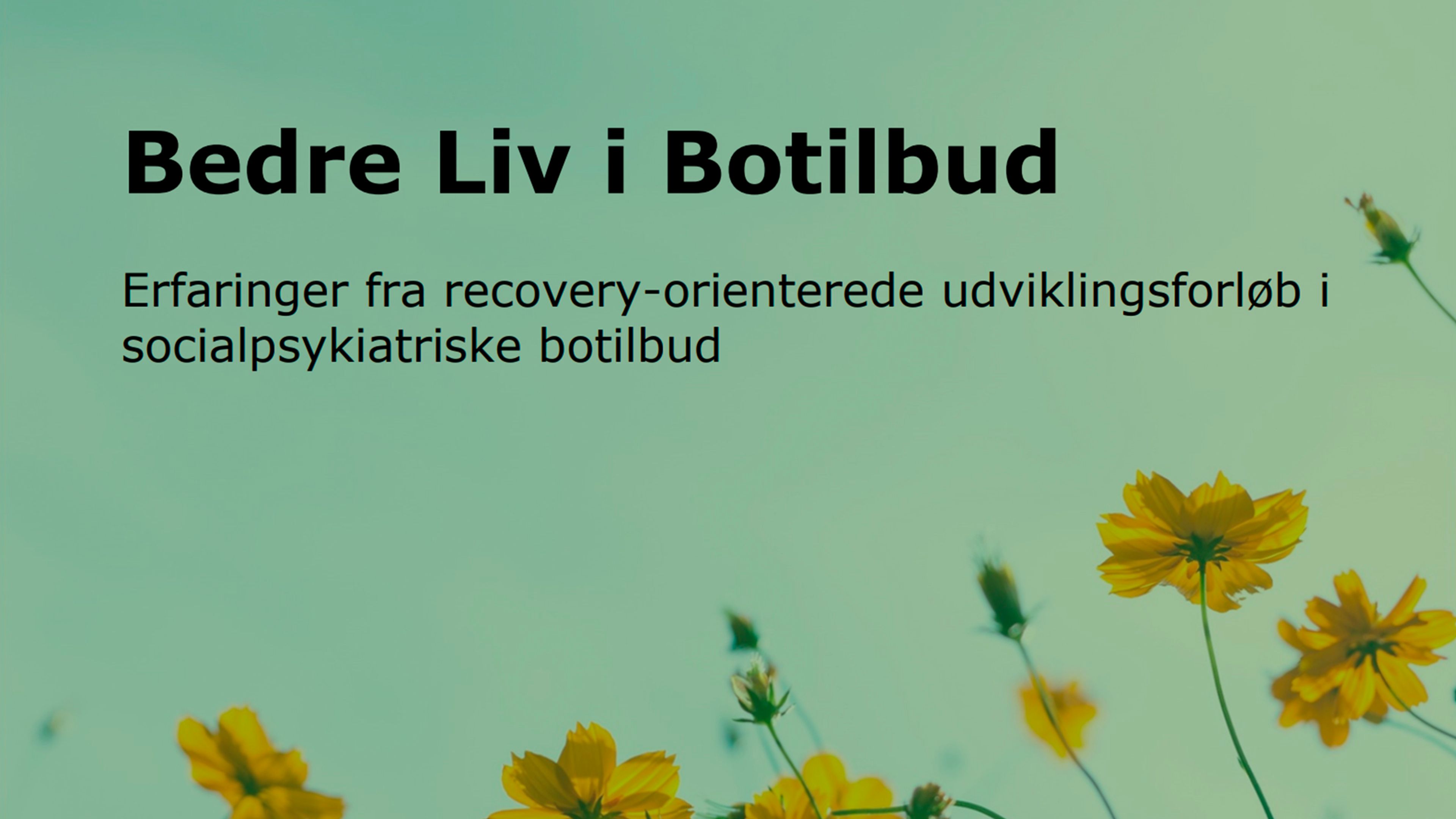 Læs rapport: Bedre liv i botilbud 