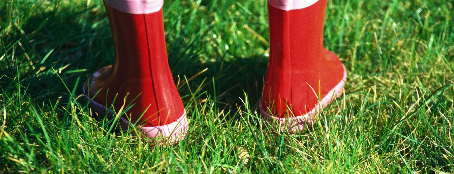 Ni spørgsmål til forskeren om kerneopgaven og den forsvundne gummistøvle