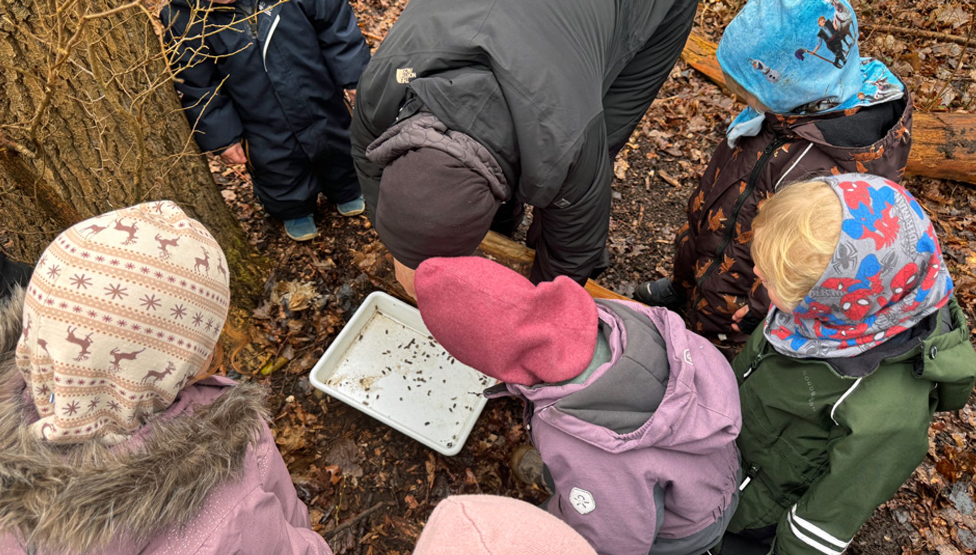 Kompeteneudvikling til pædagoger