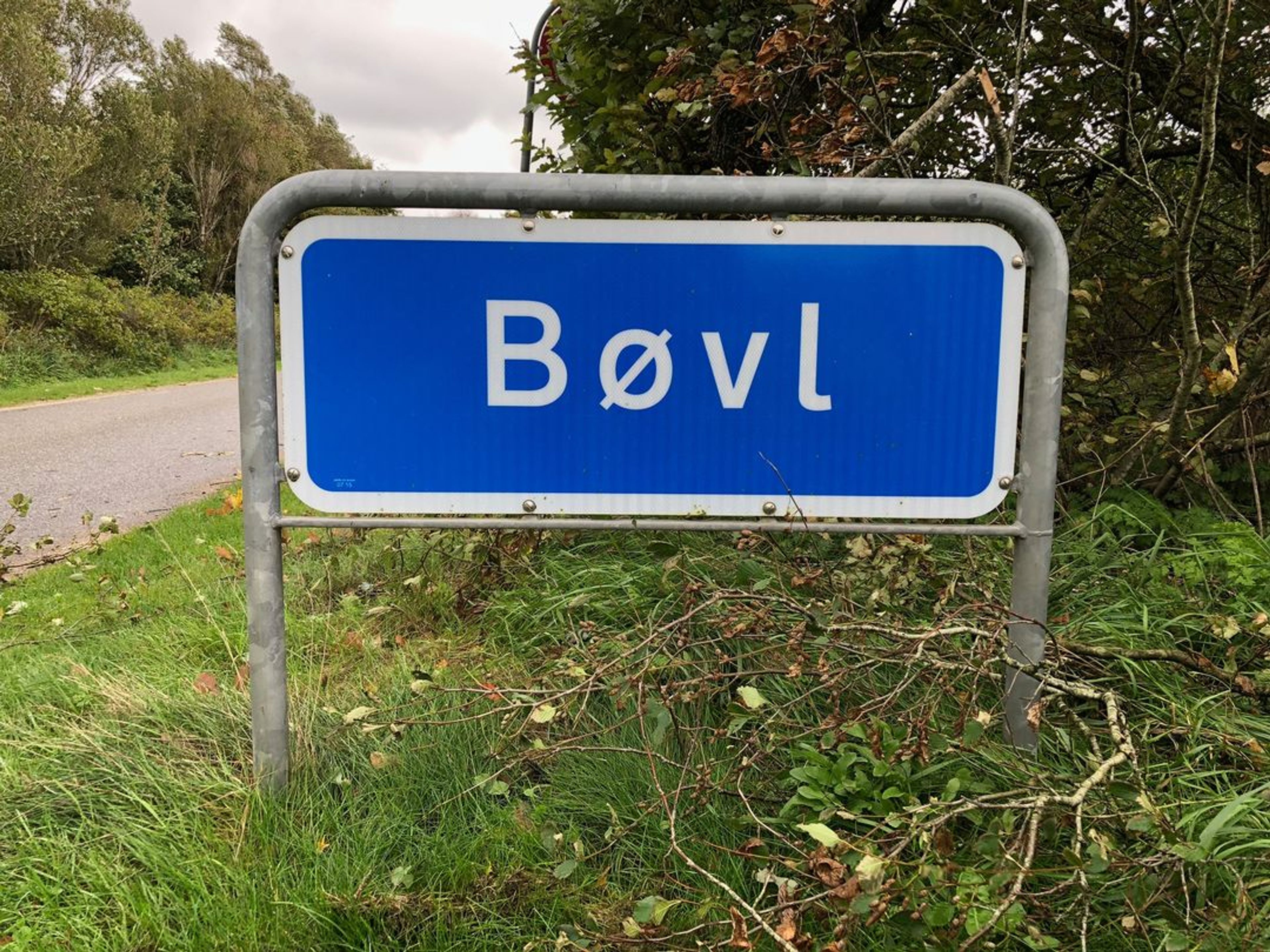 Bøvl