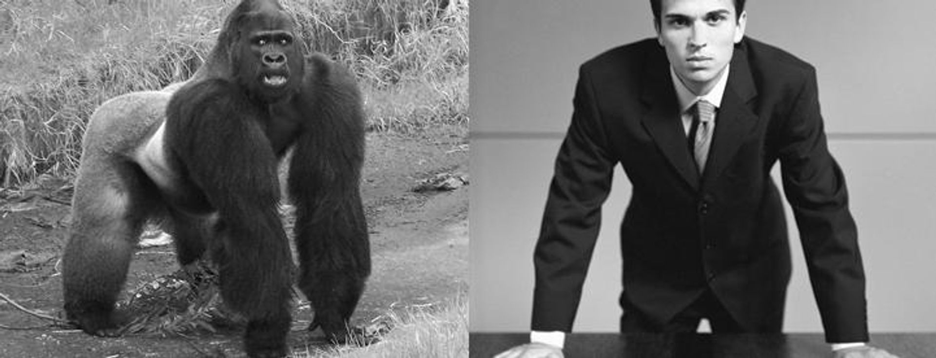 Føl dig mere magtfuld 