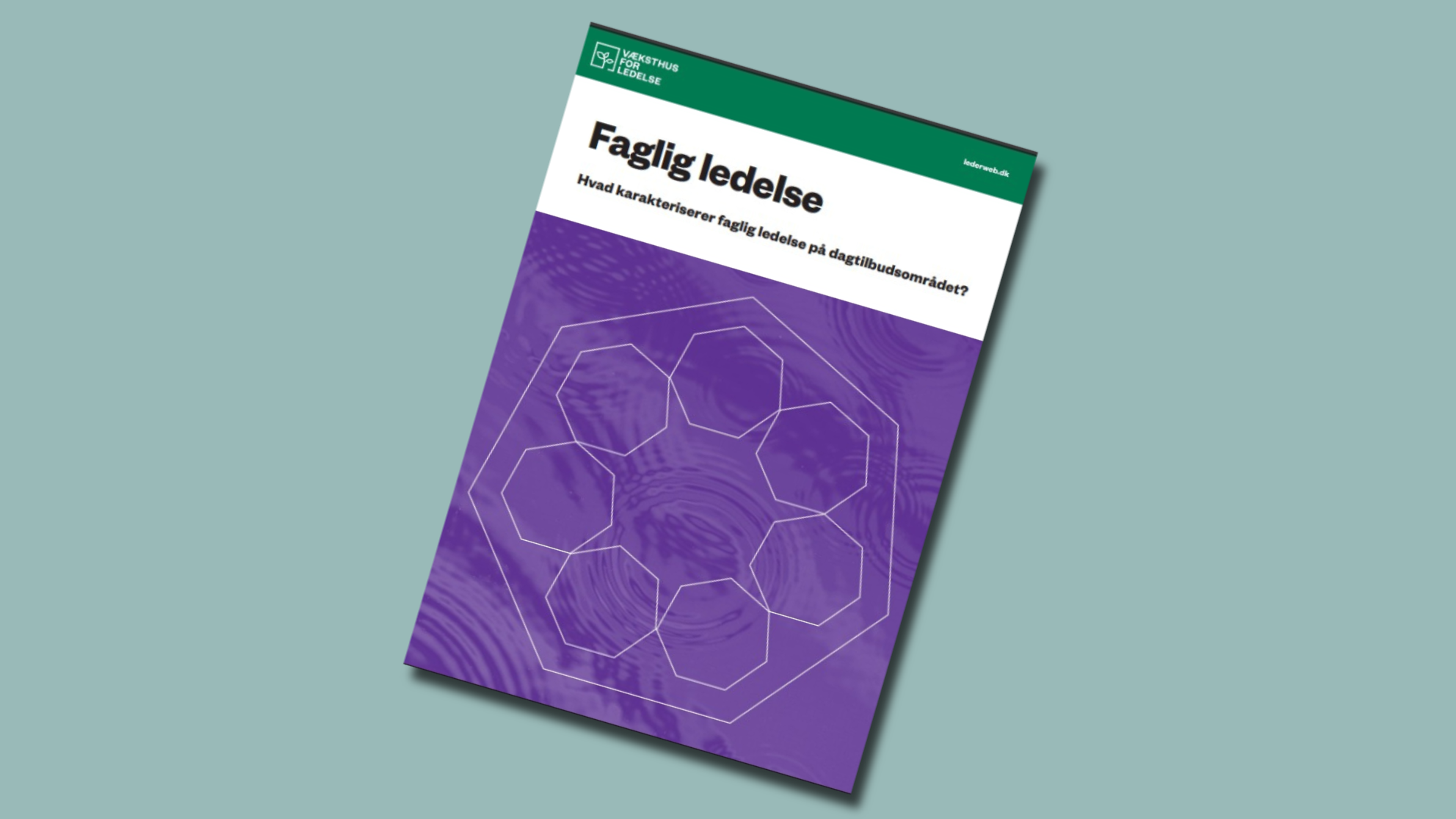 Ny inspiration: Sådan styrkes faglig ledelse på dagtilbudsområdet