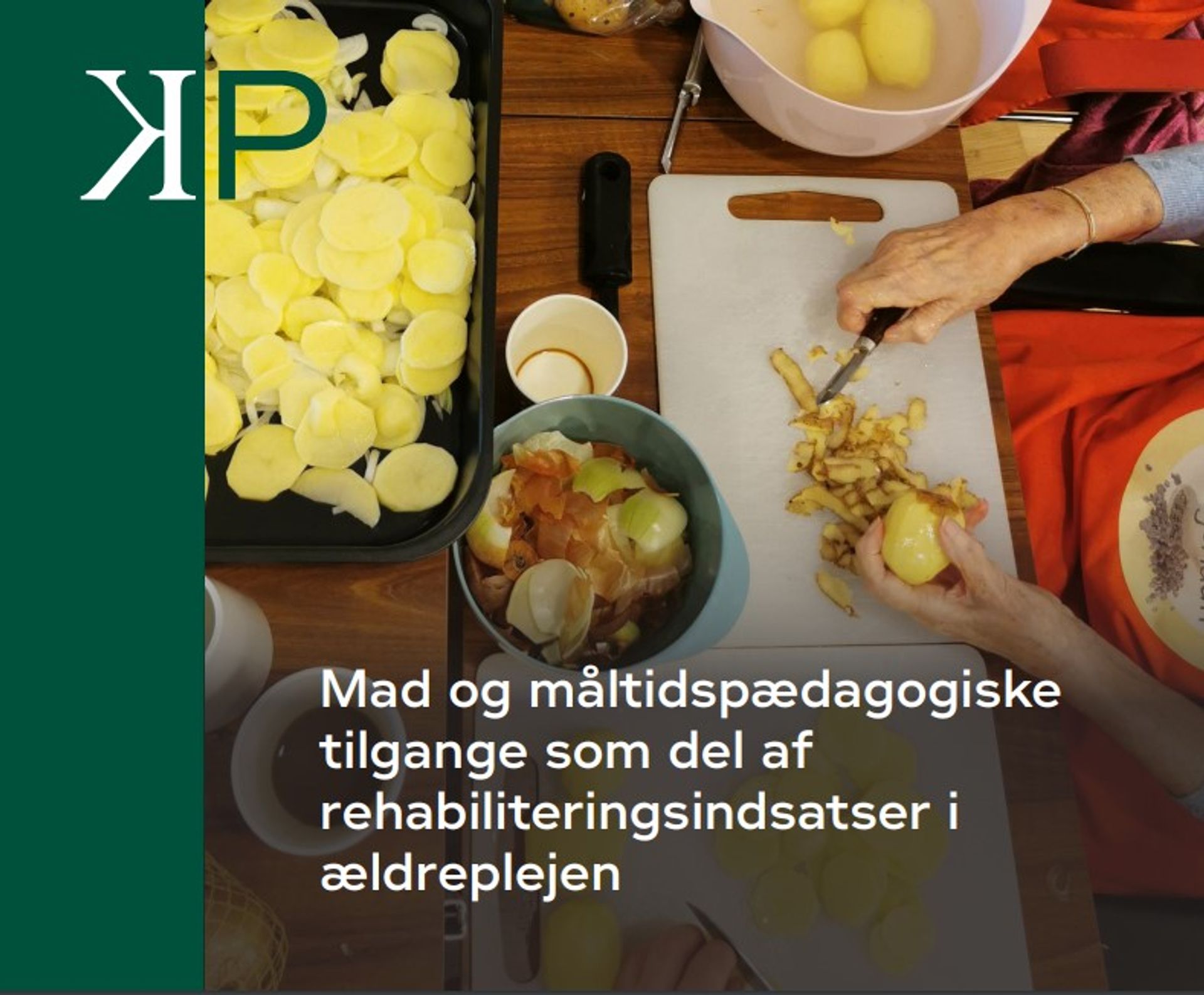 Download håndbog om mad og måltider