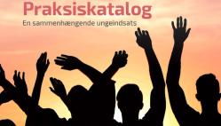 Praksis erfaringer med den kommunale ungeindsats