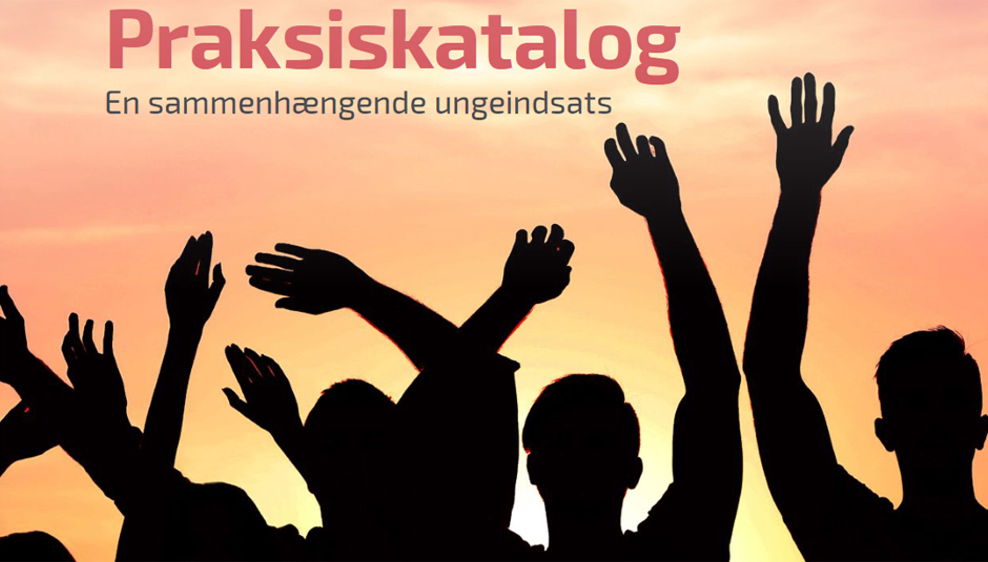 Praksis erfaringer med den kommunale ungeindsats