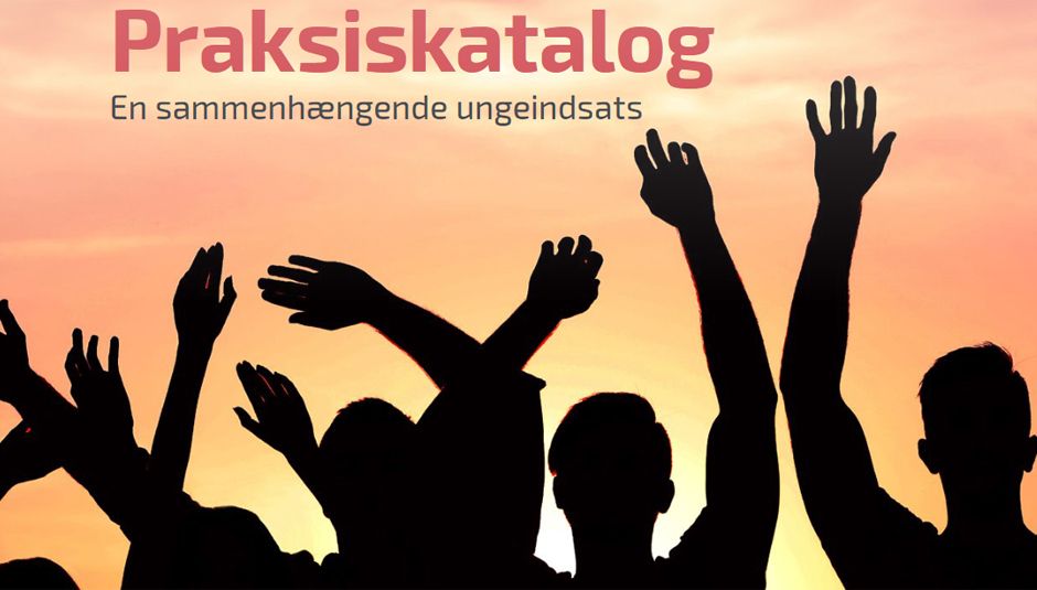 Praksis erfaringer med den kommunale ungeindsats