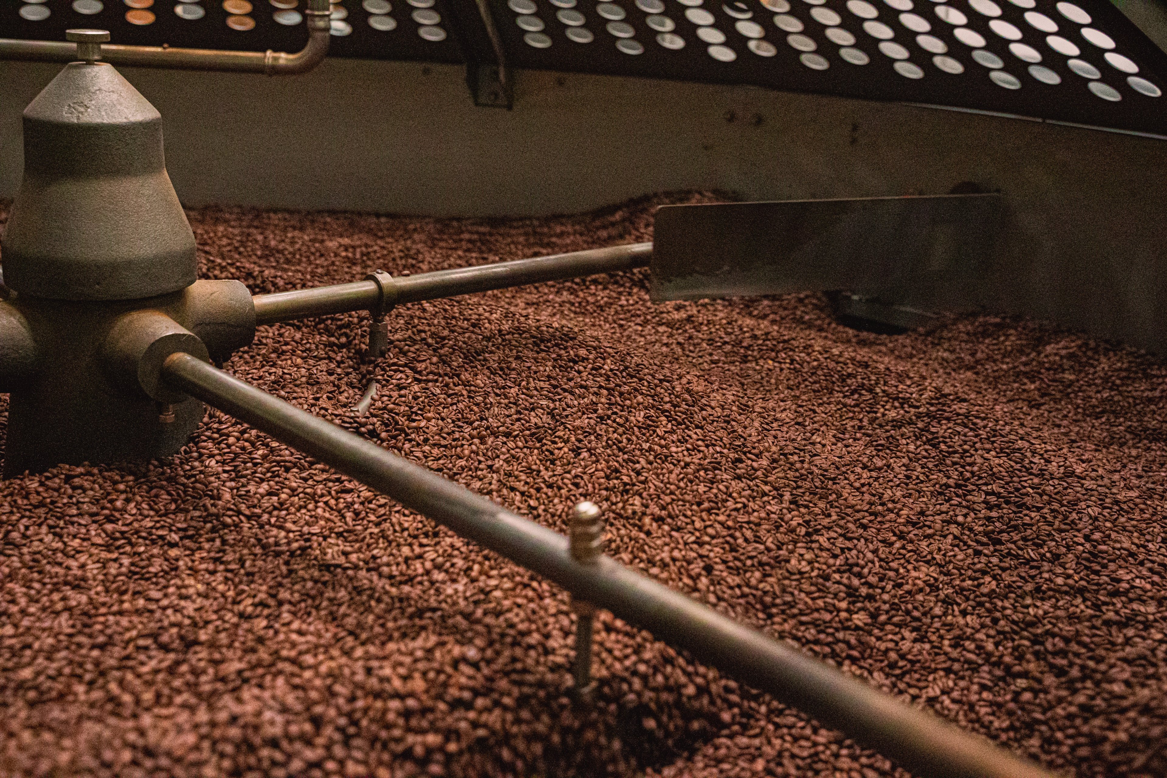 Coffee beans being roasted