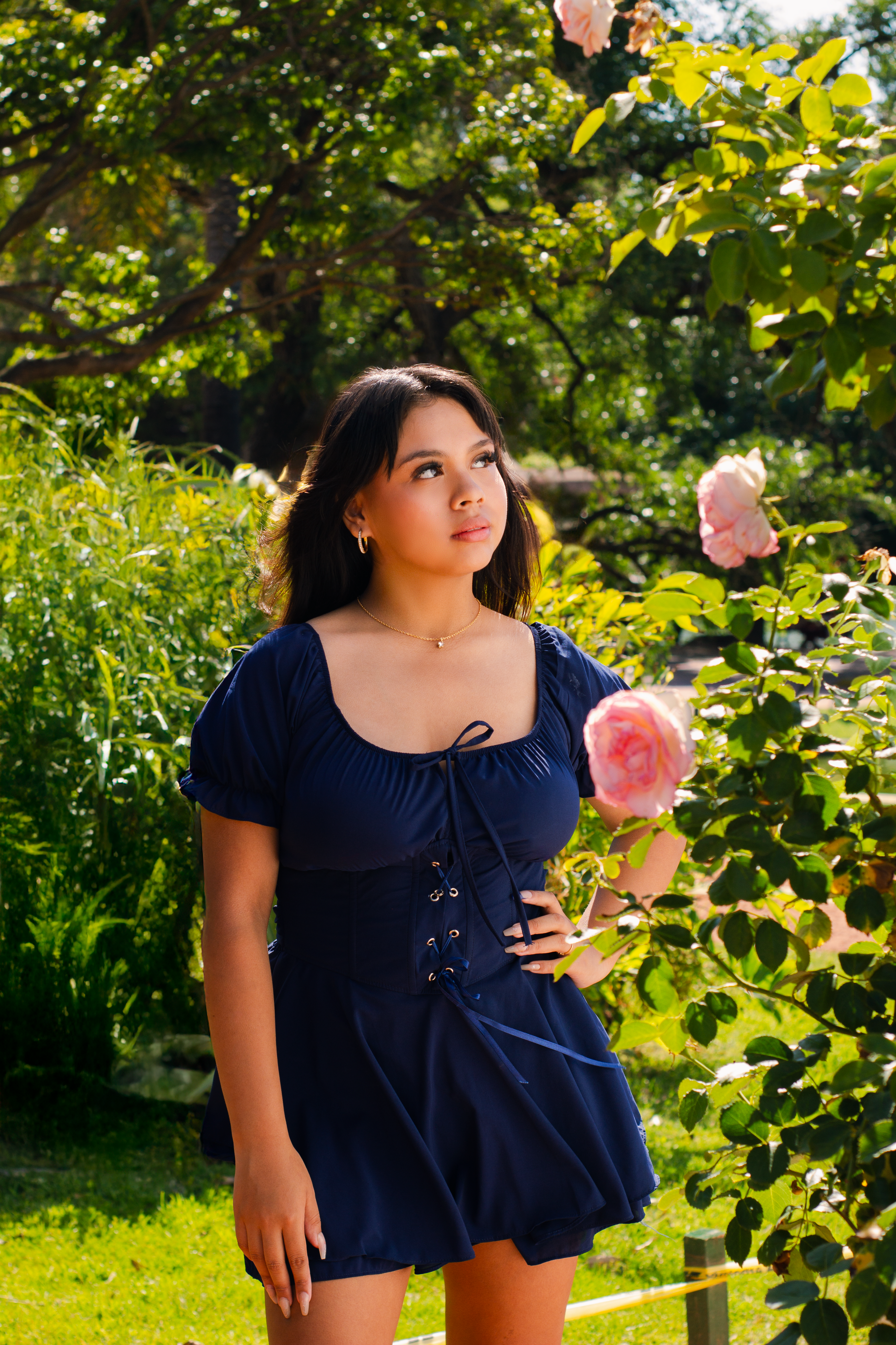 Book XV