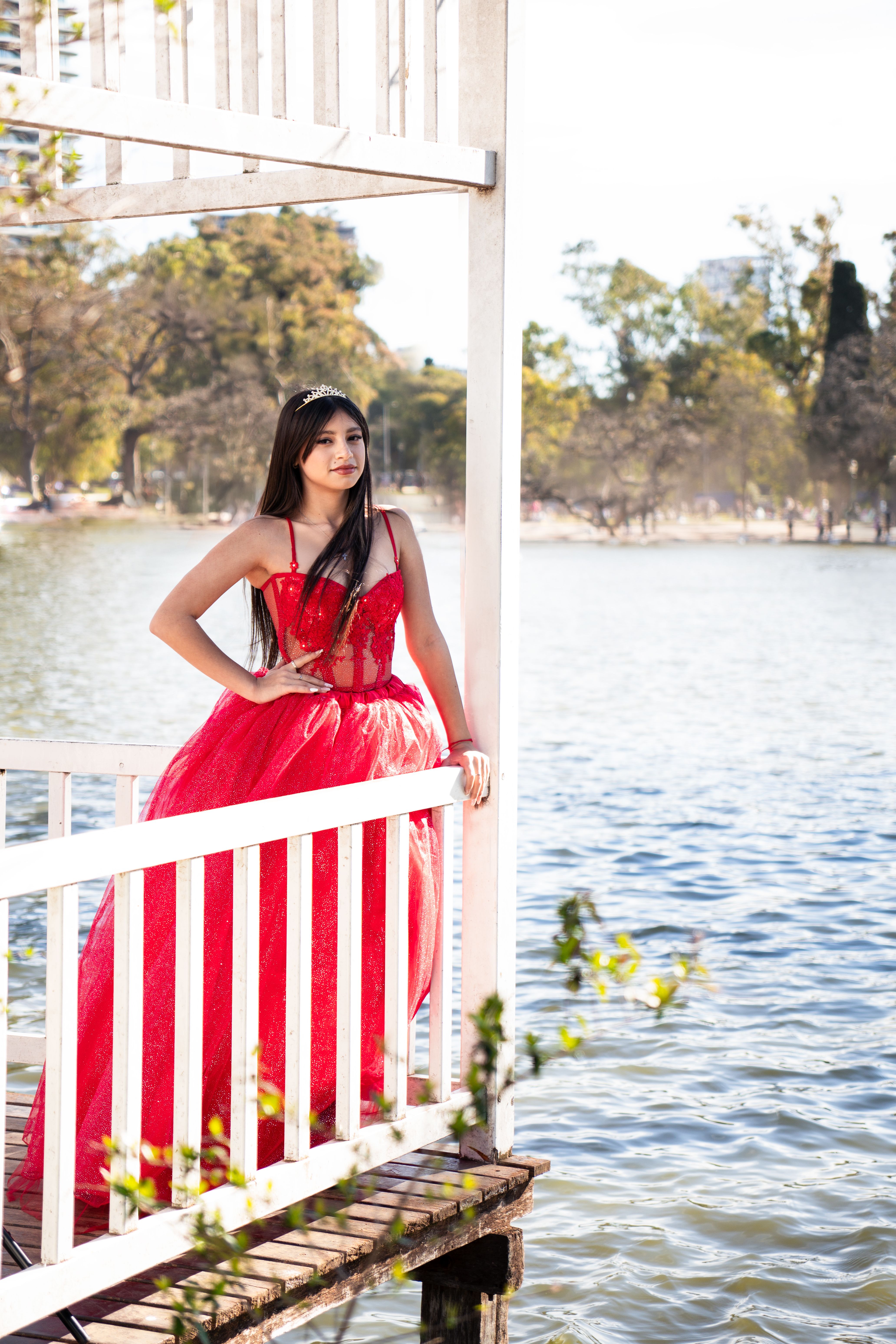 Book XV